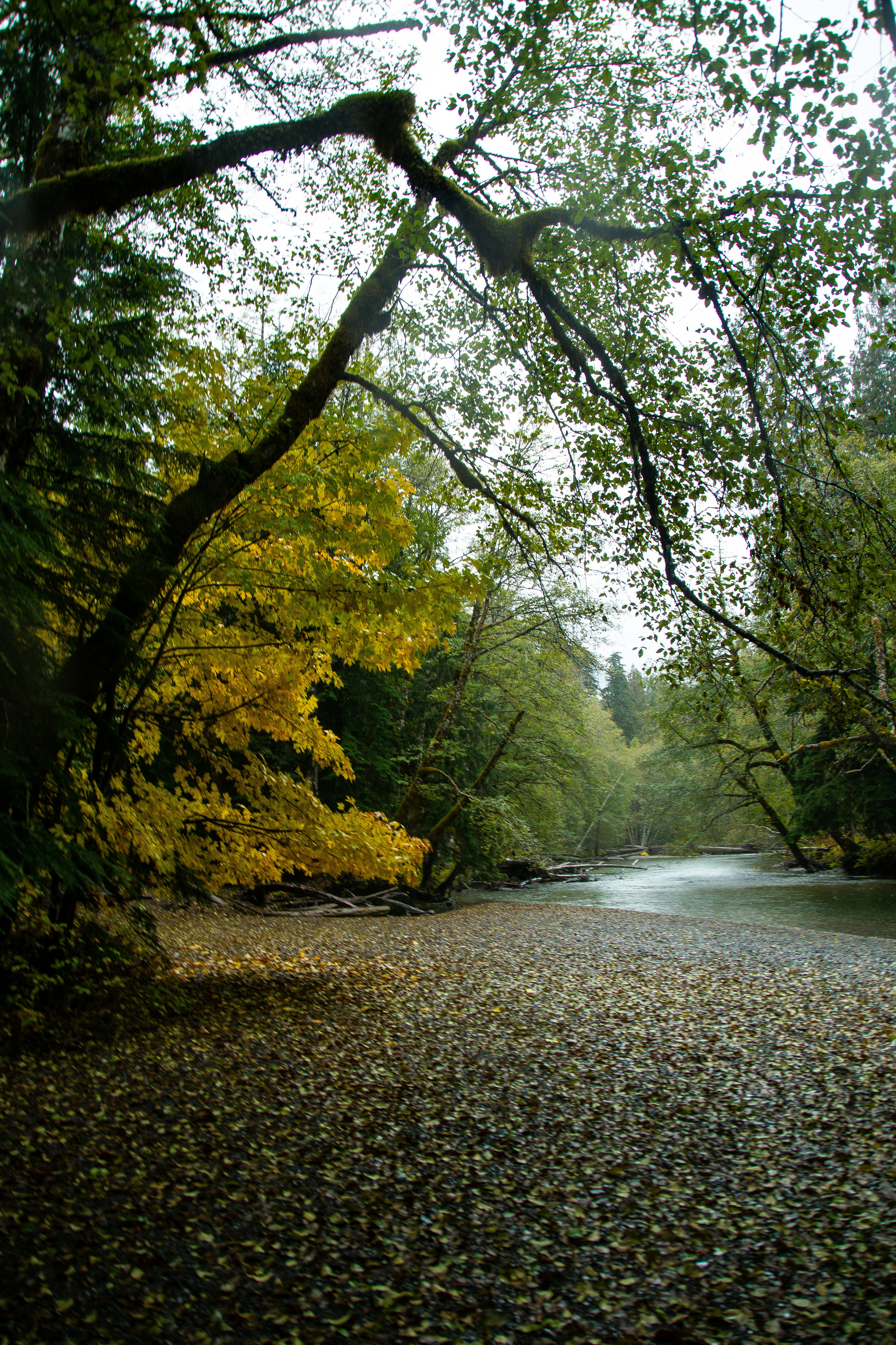 Photo by jackcharles