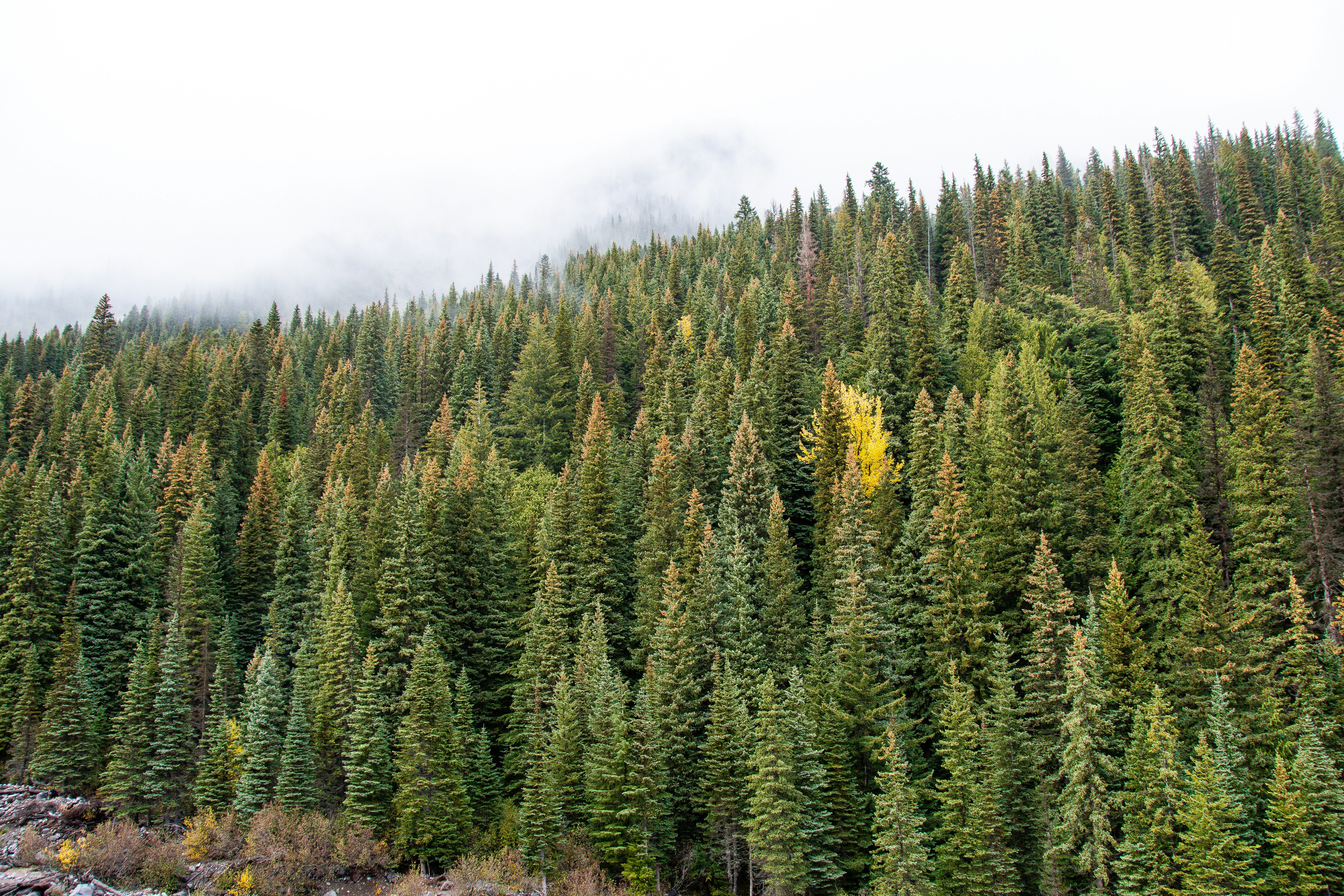 Photo by jackcharles