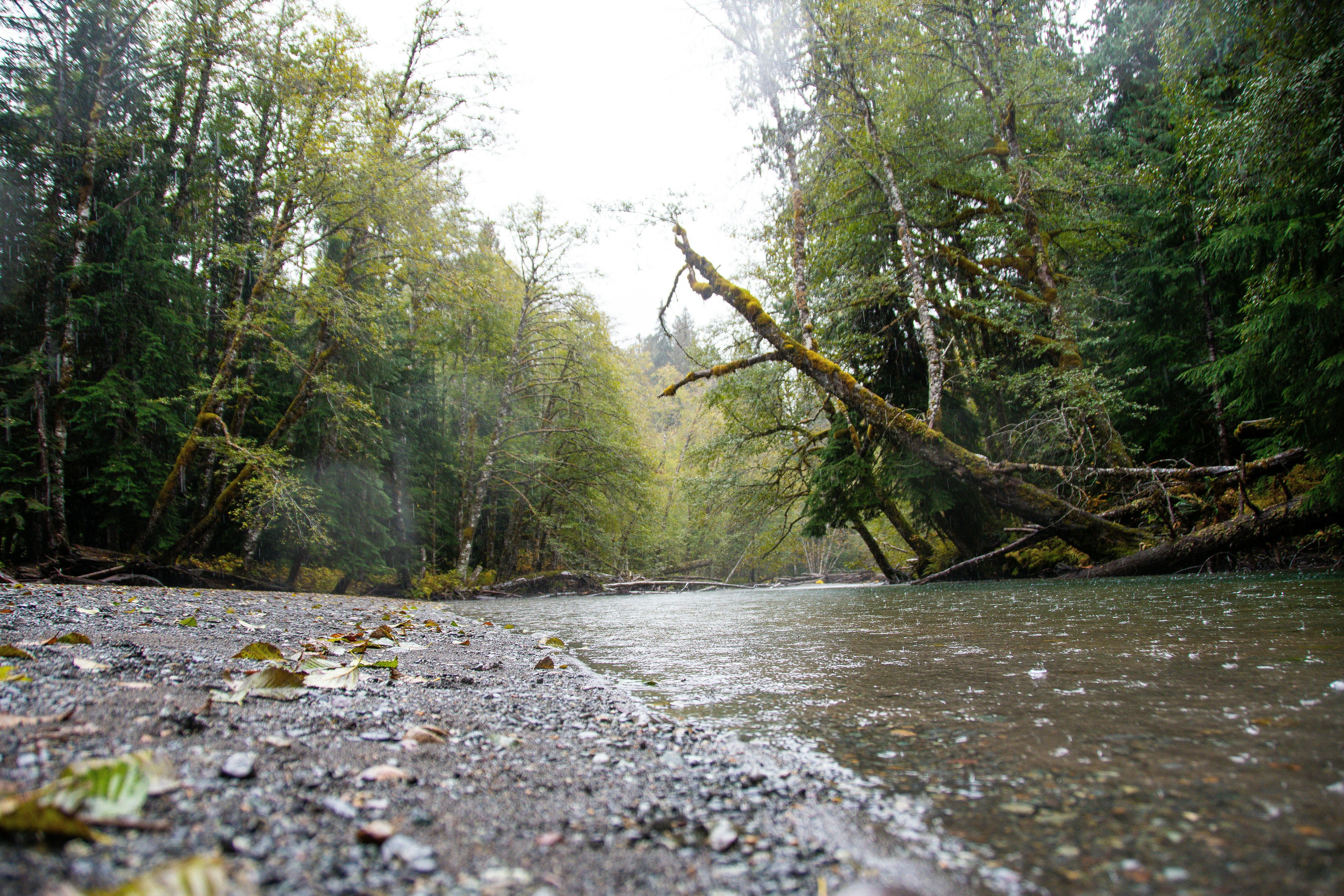 Photo by jackcharles