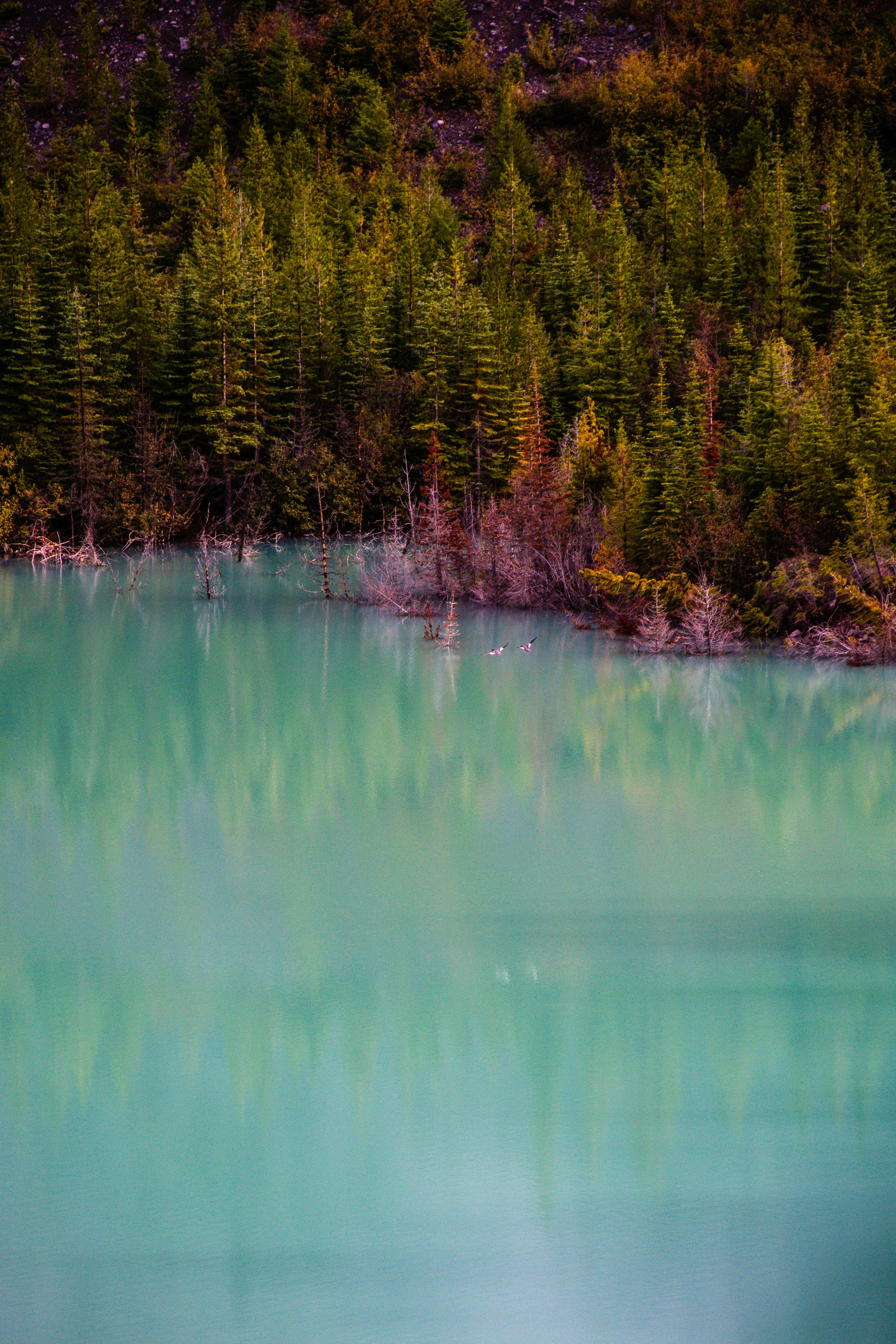 Photo by jackcharles