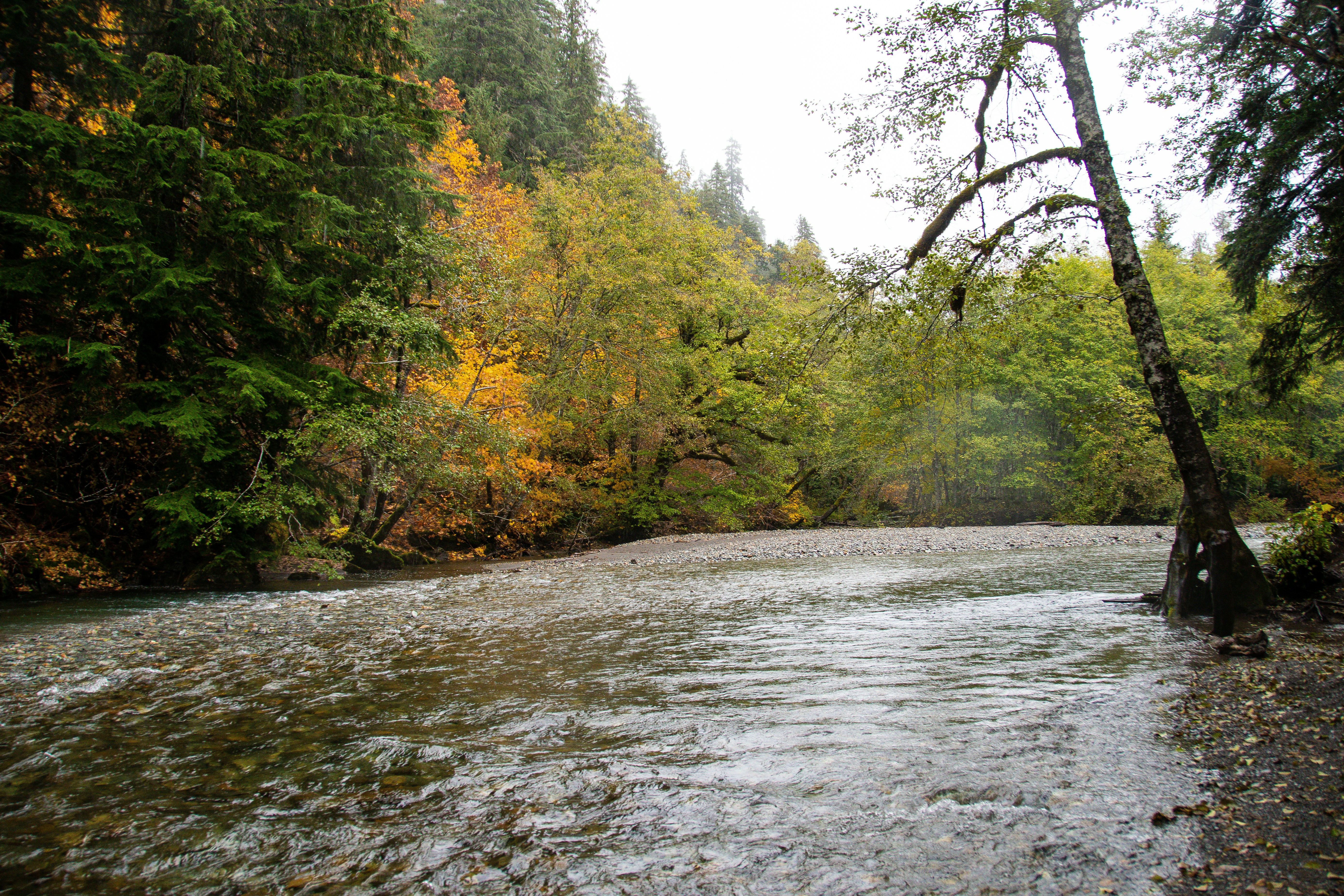 Photo by jackcharles