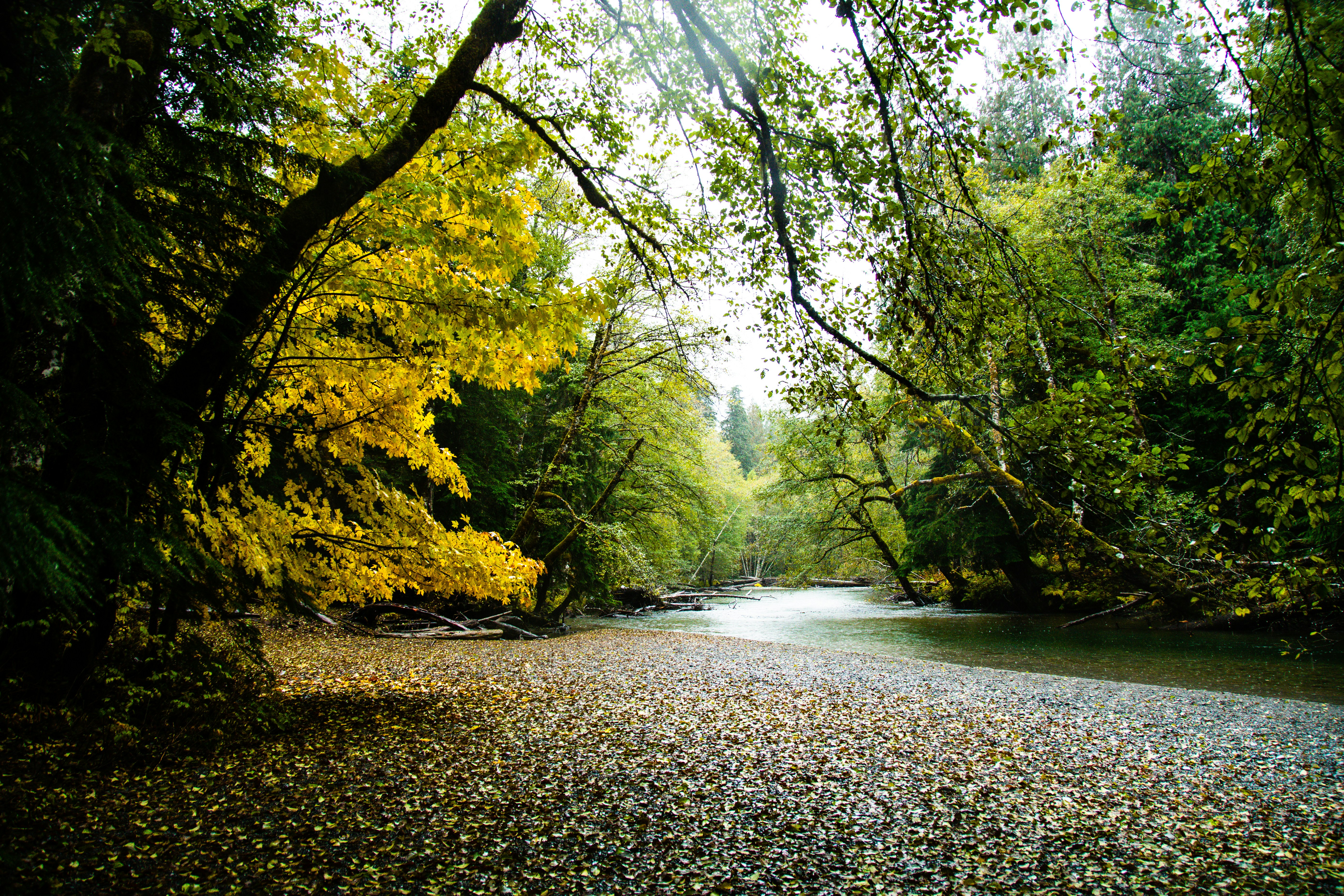 Photo by jackcharles