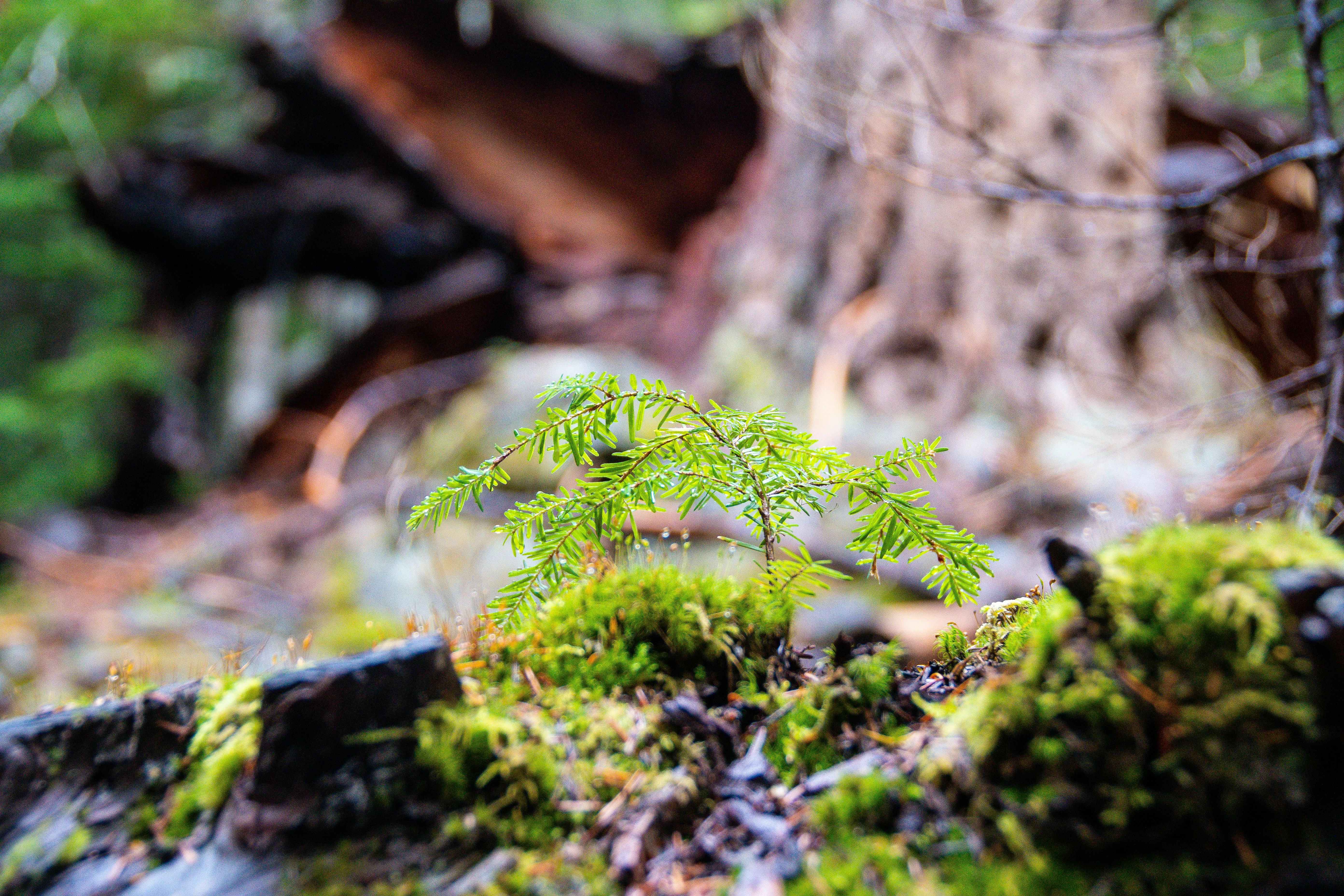 Photo by jackcharles