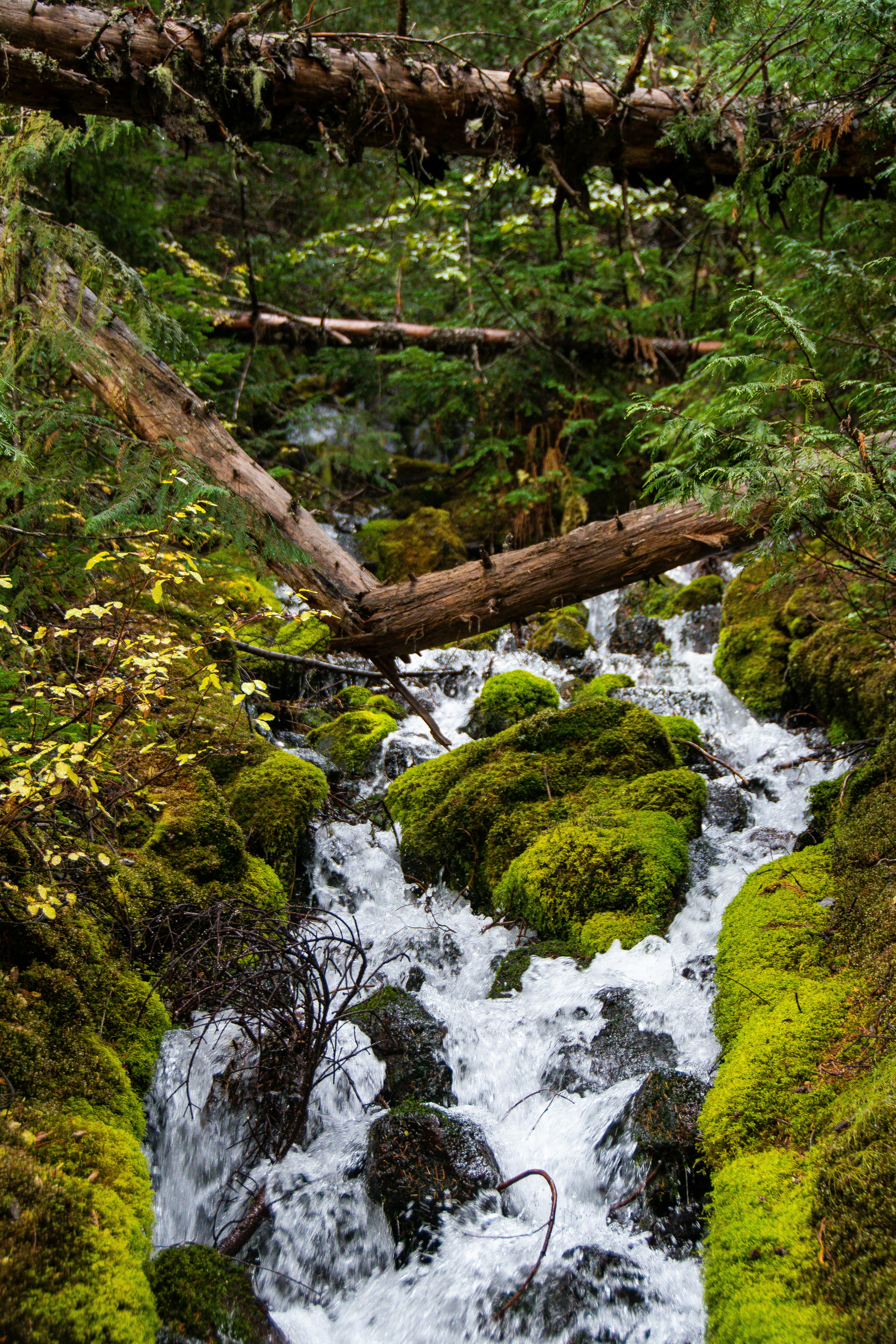 Photo by jackcharles