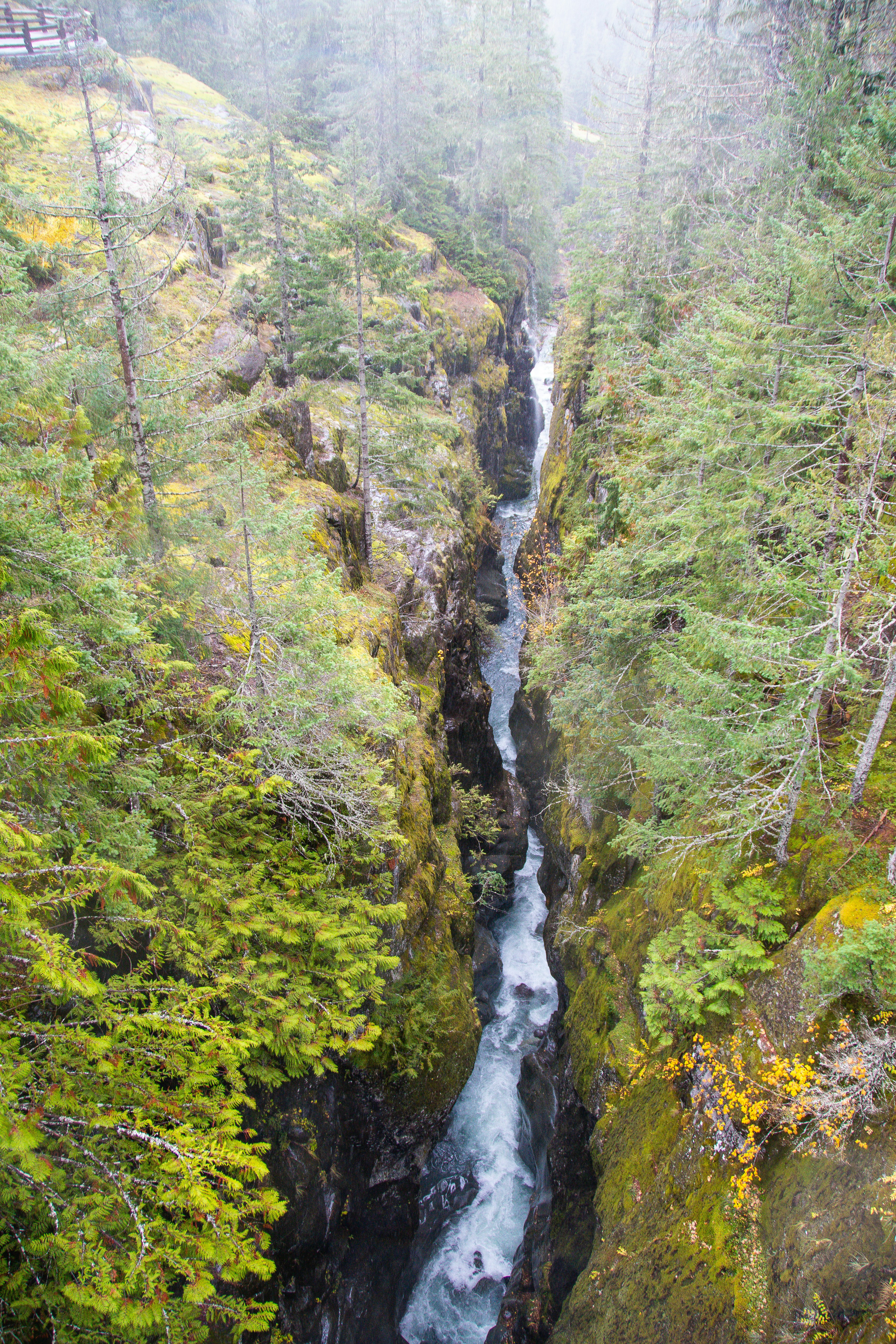 Photo by jackcharles