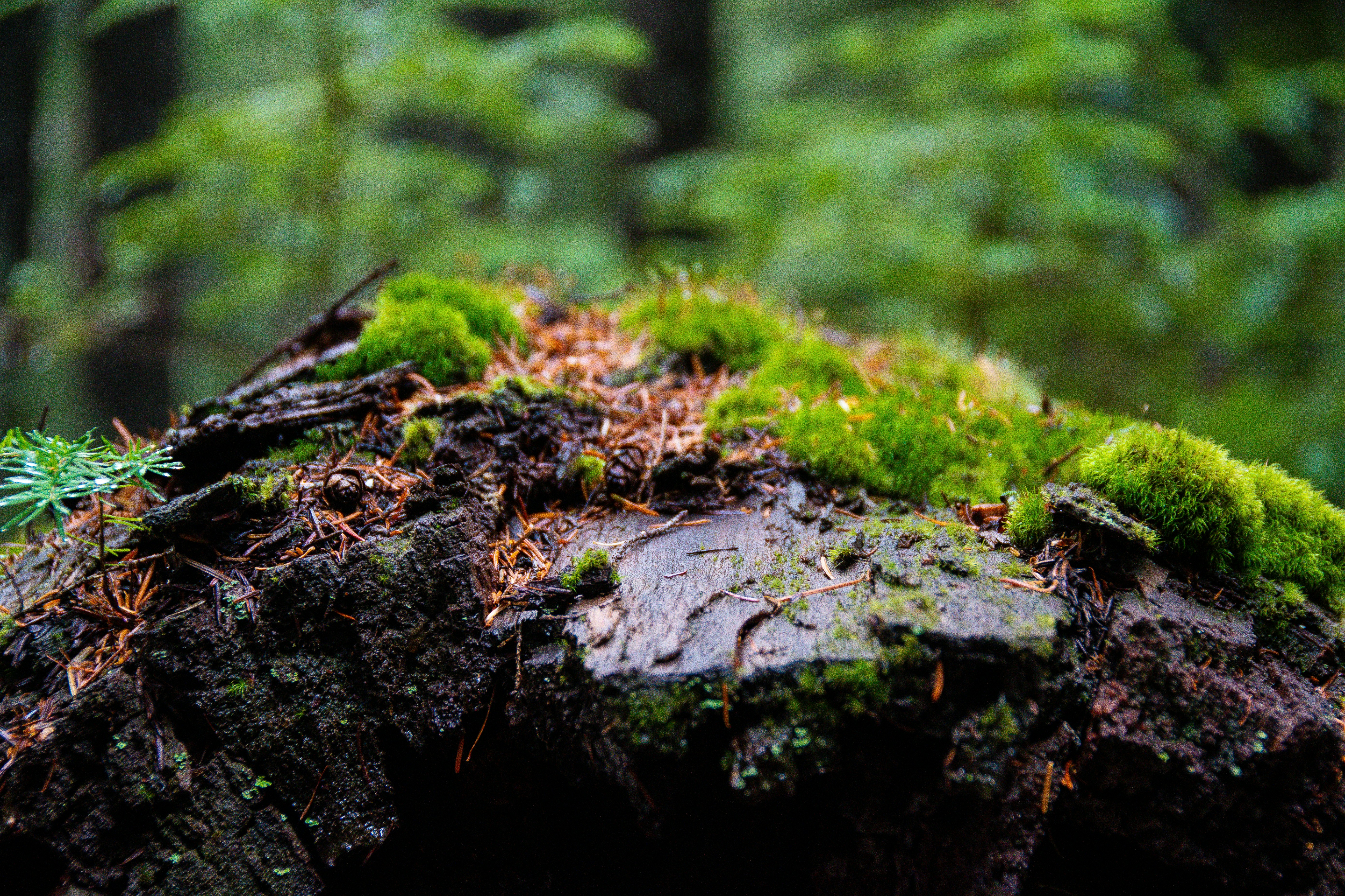 Photo by jackcharles