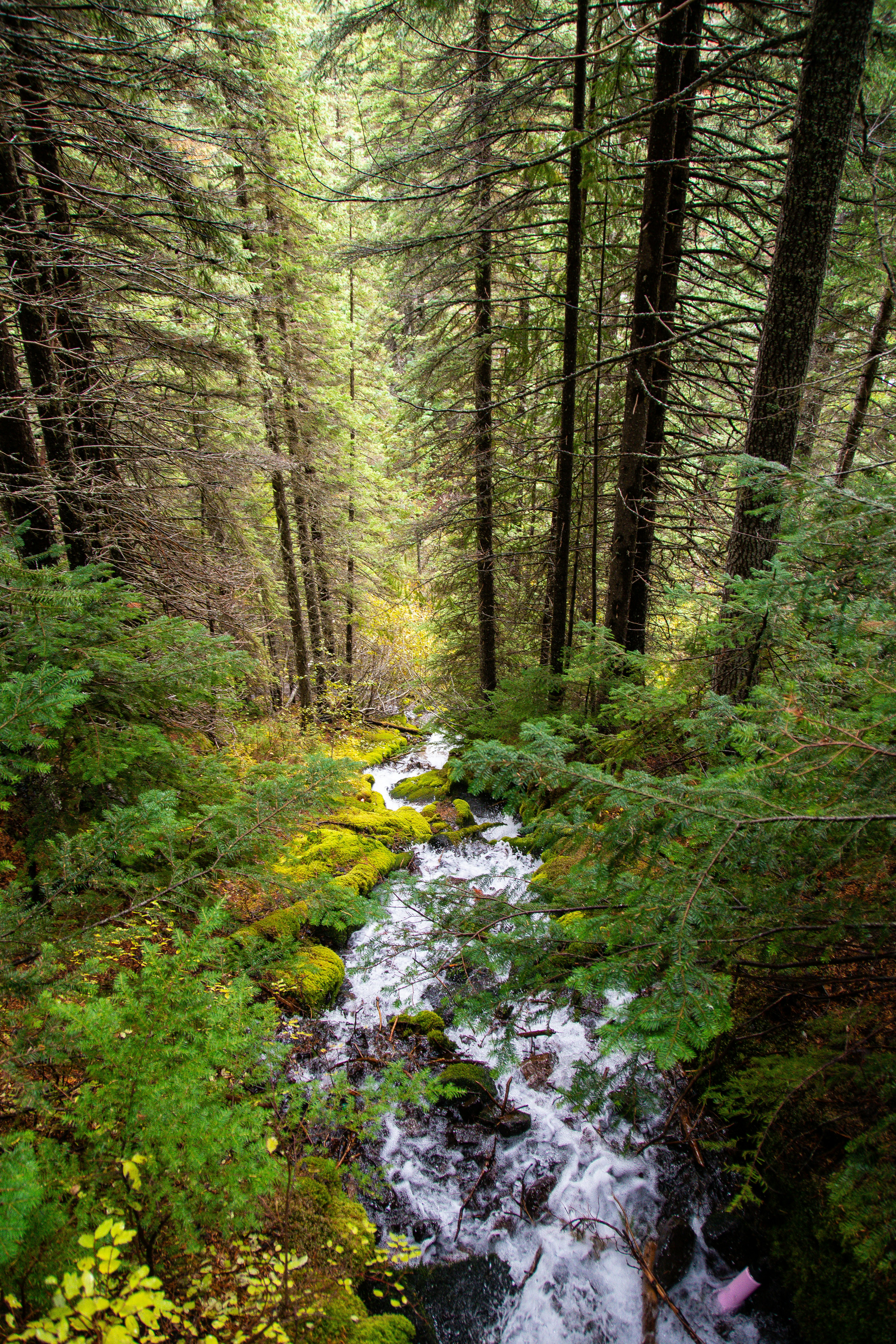 Photo by jackcharles