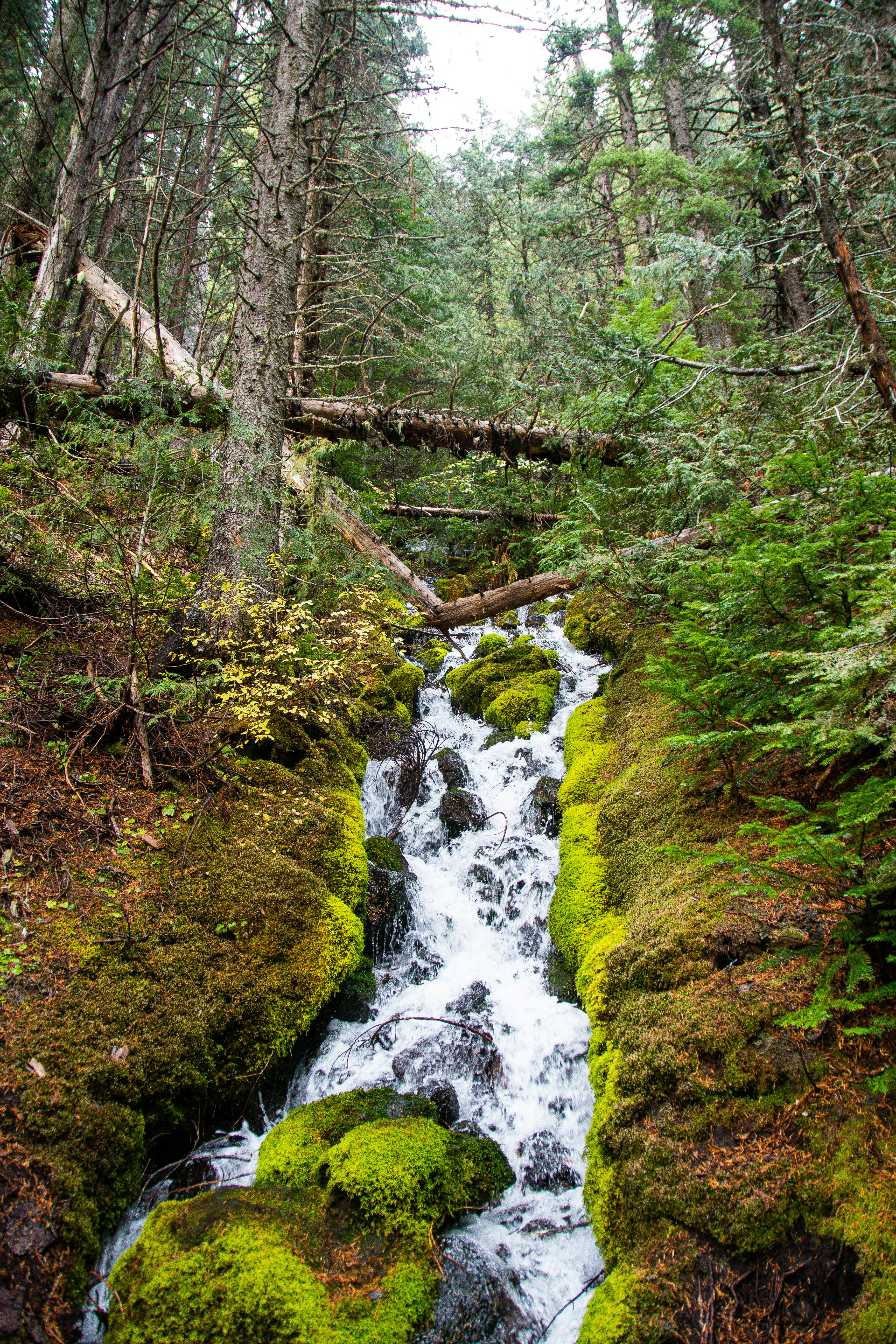 Photo by jackcharles