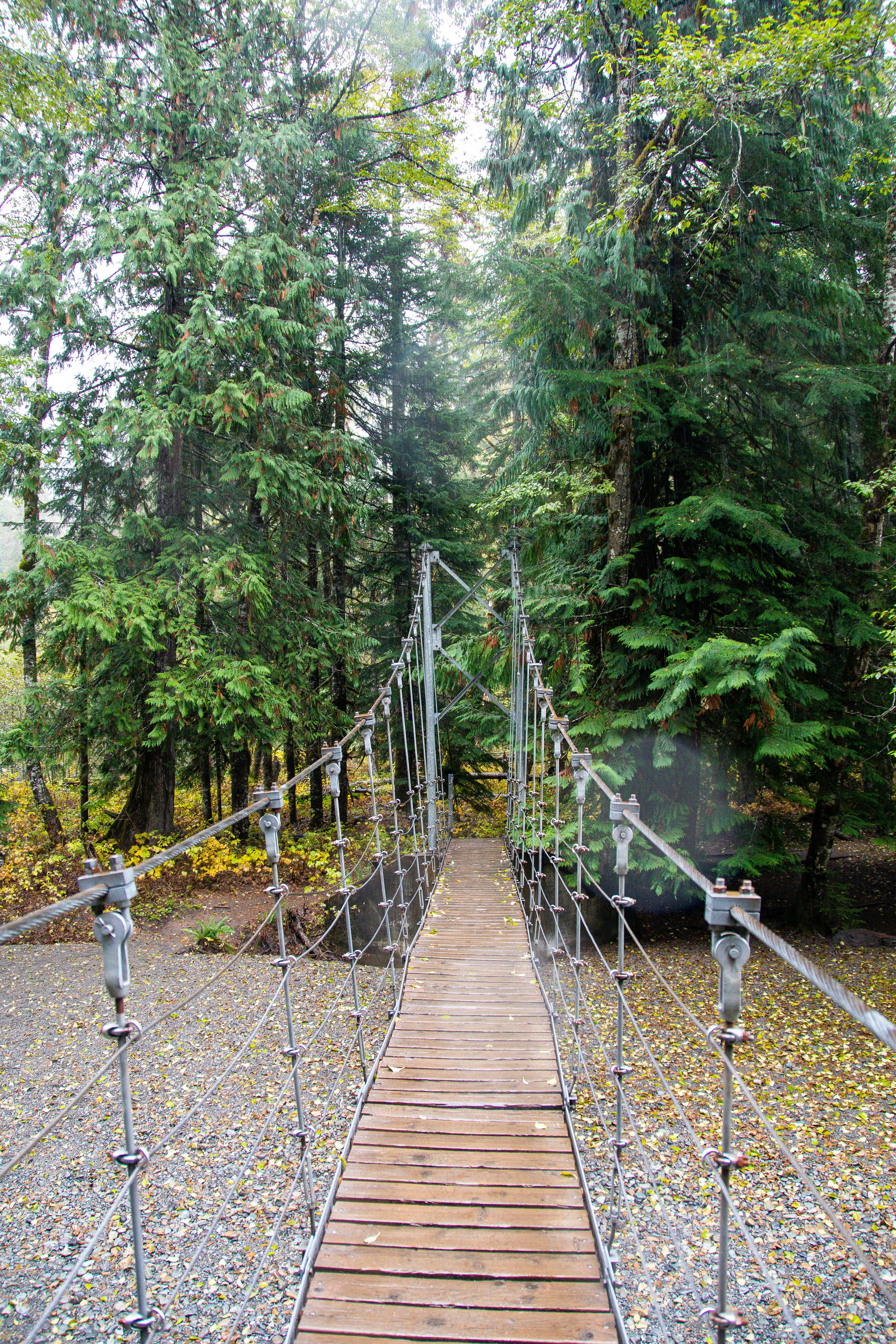 Photo by jackcharles