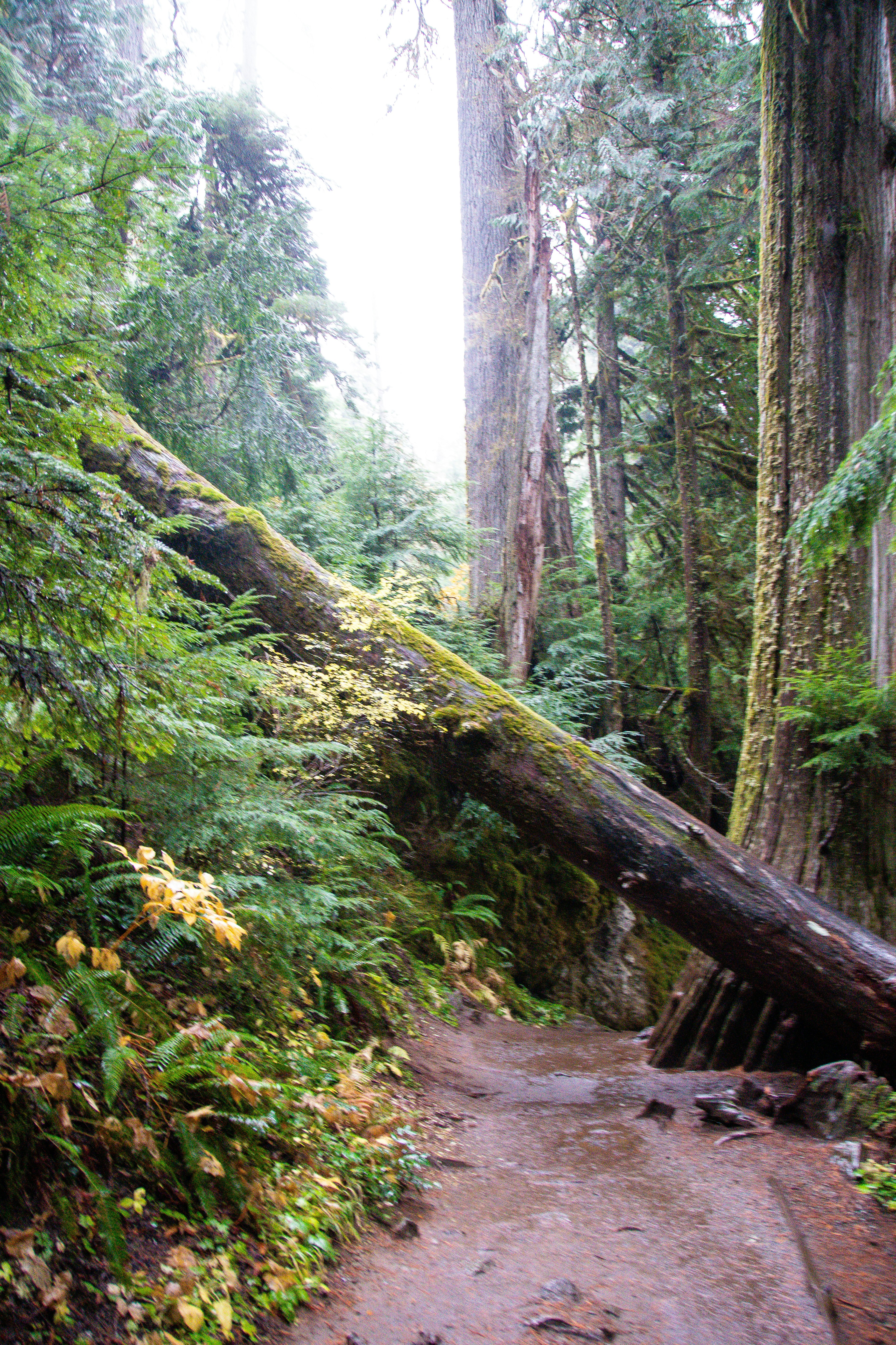 Photo by jackcharles