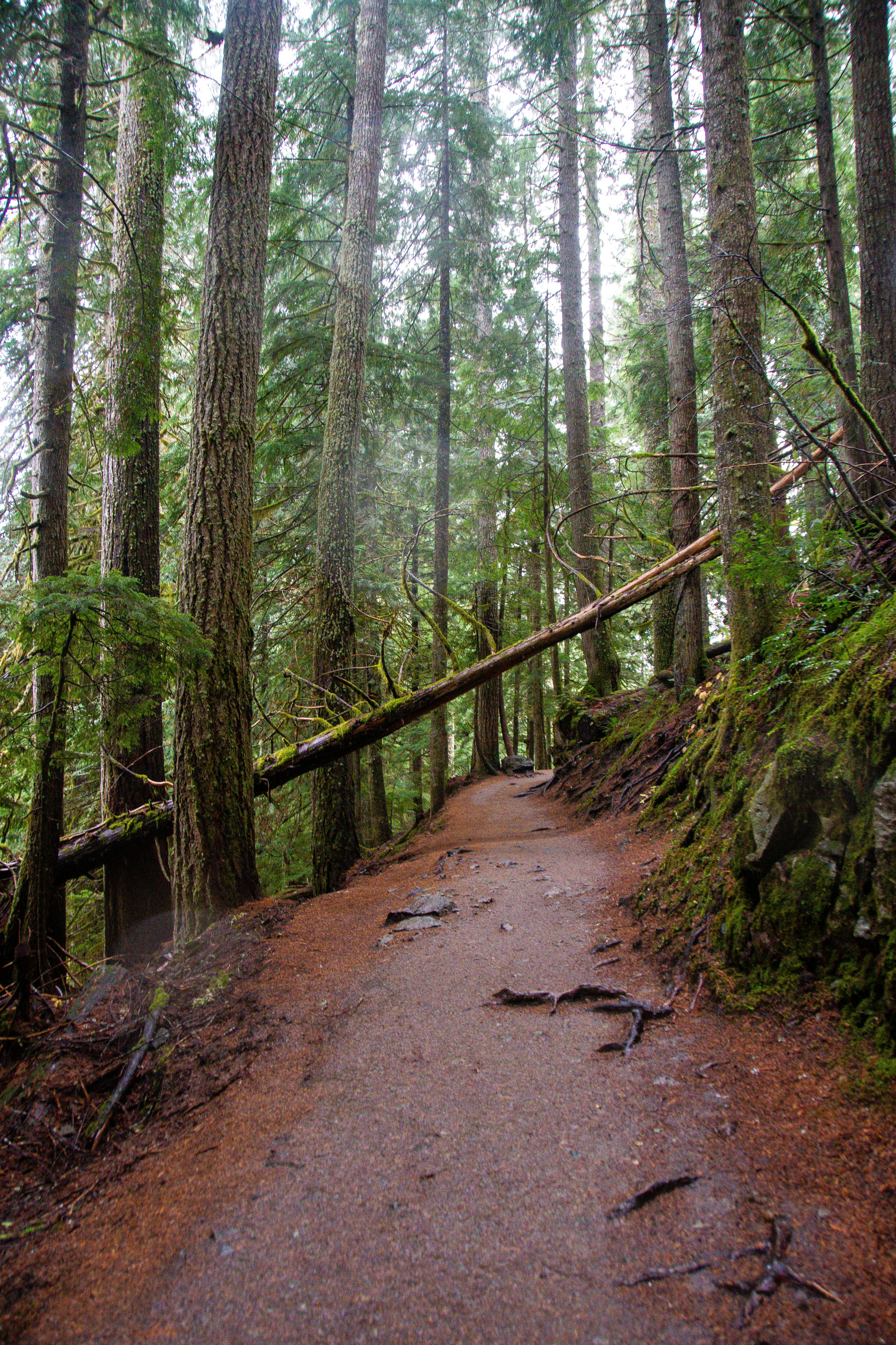 Photo by jackcharles