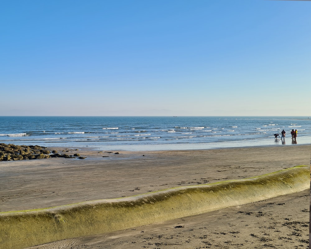 un groupe de personnes debout au sommet d’une plage de sable