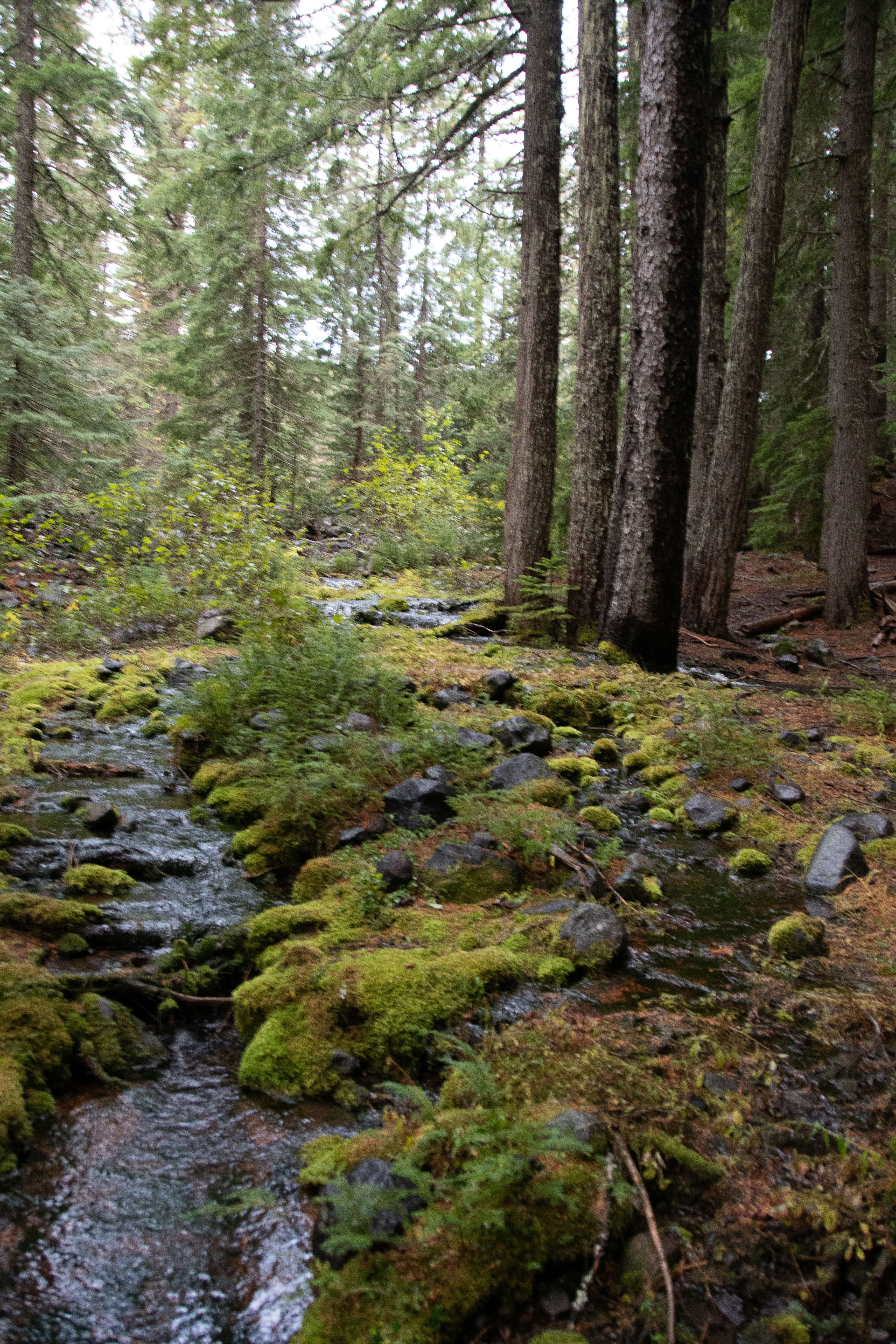 Photo by jackcharles