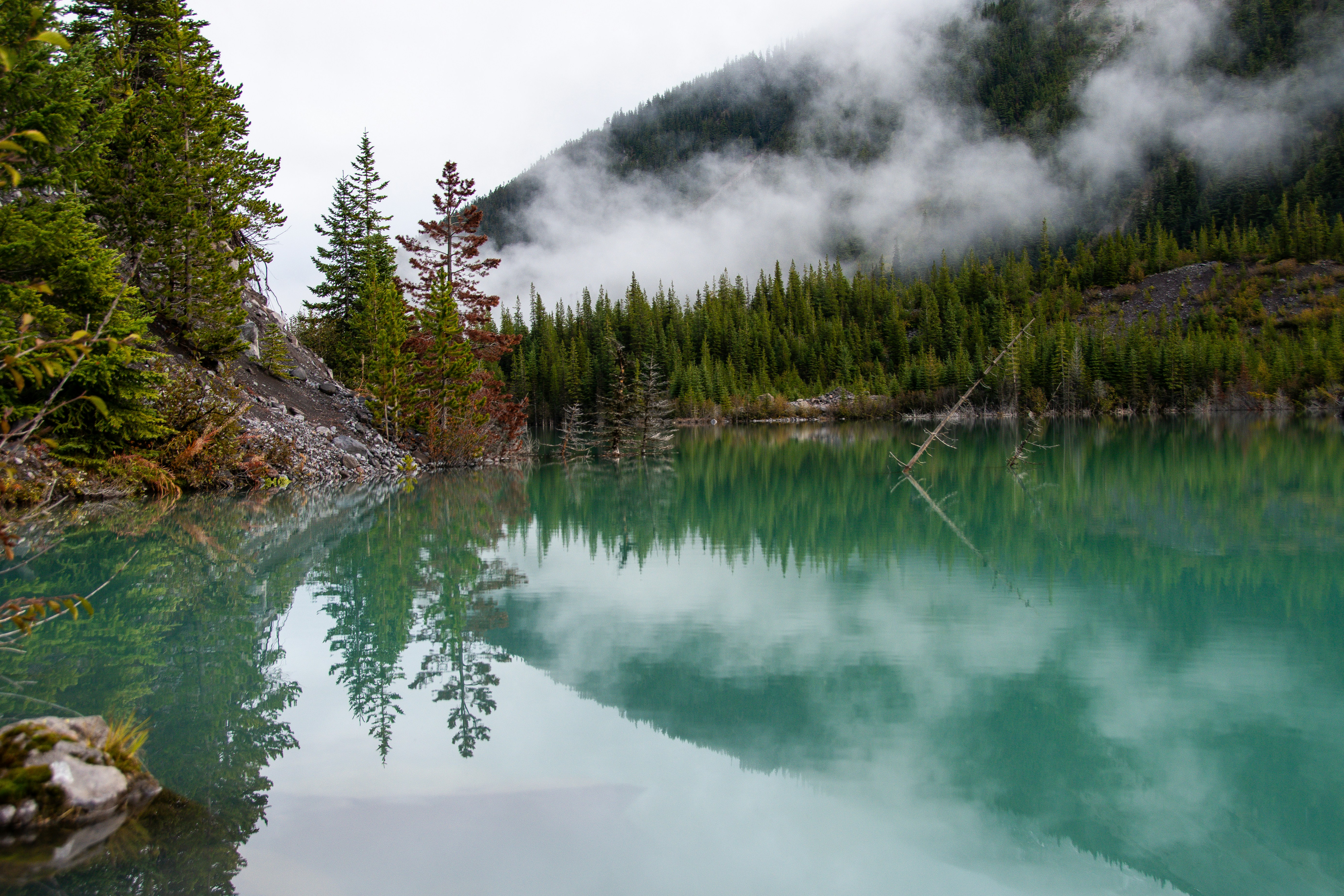 Photo by jackcharles