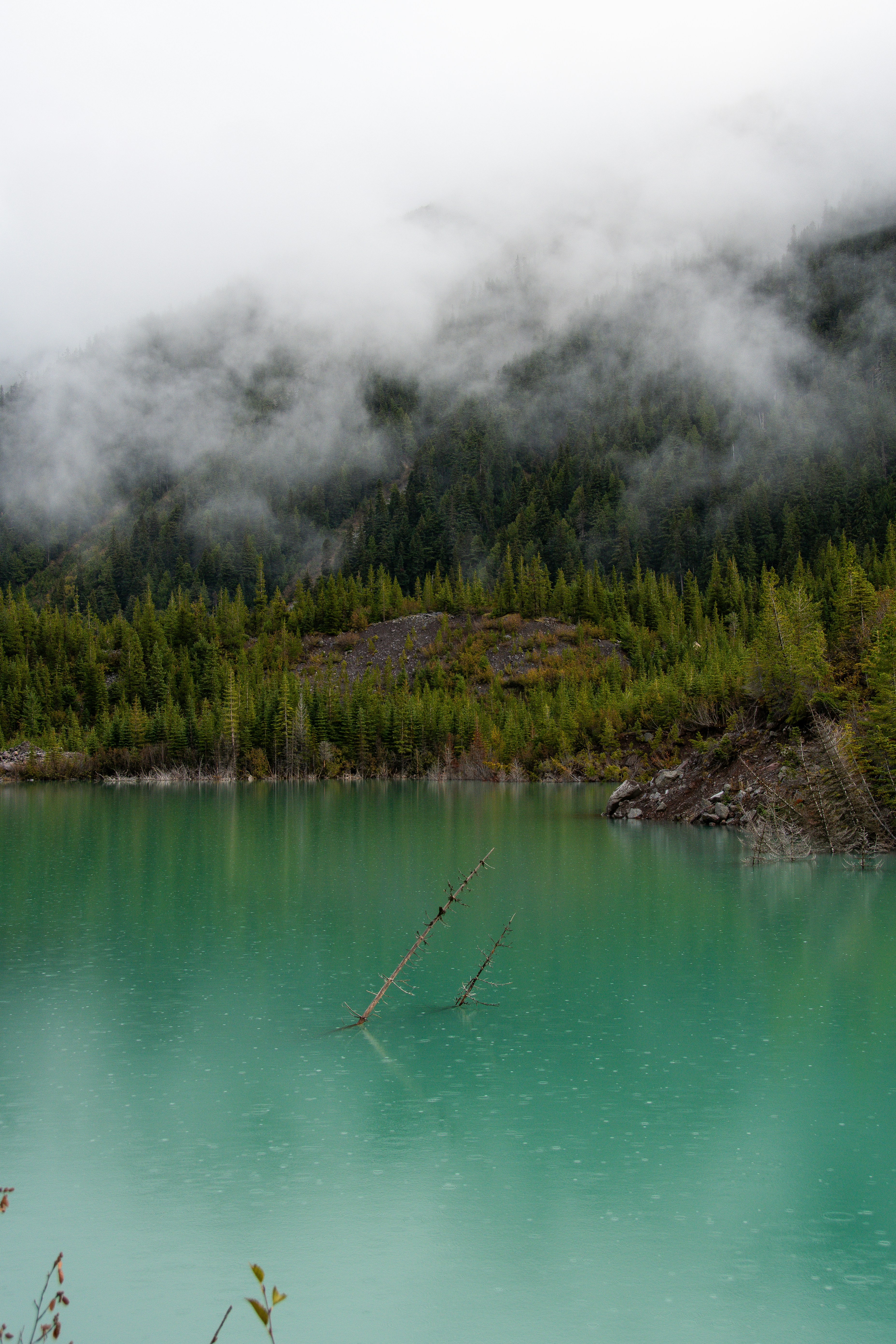 Photo by jackcharles