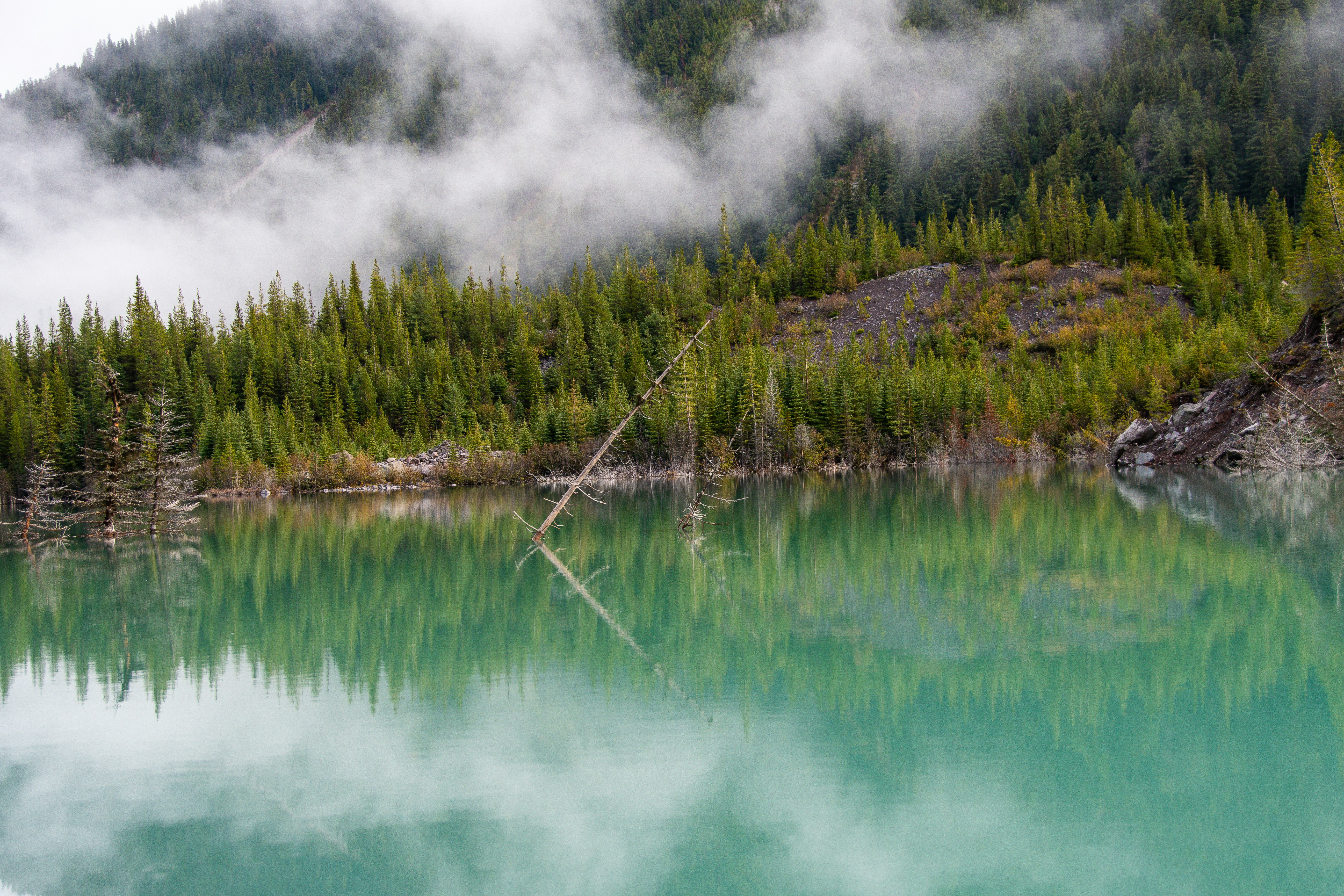 Photo by jackcharles