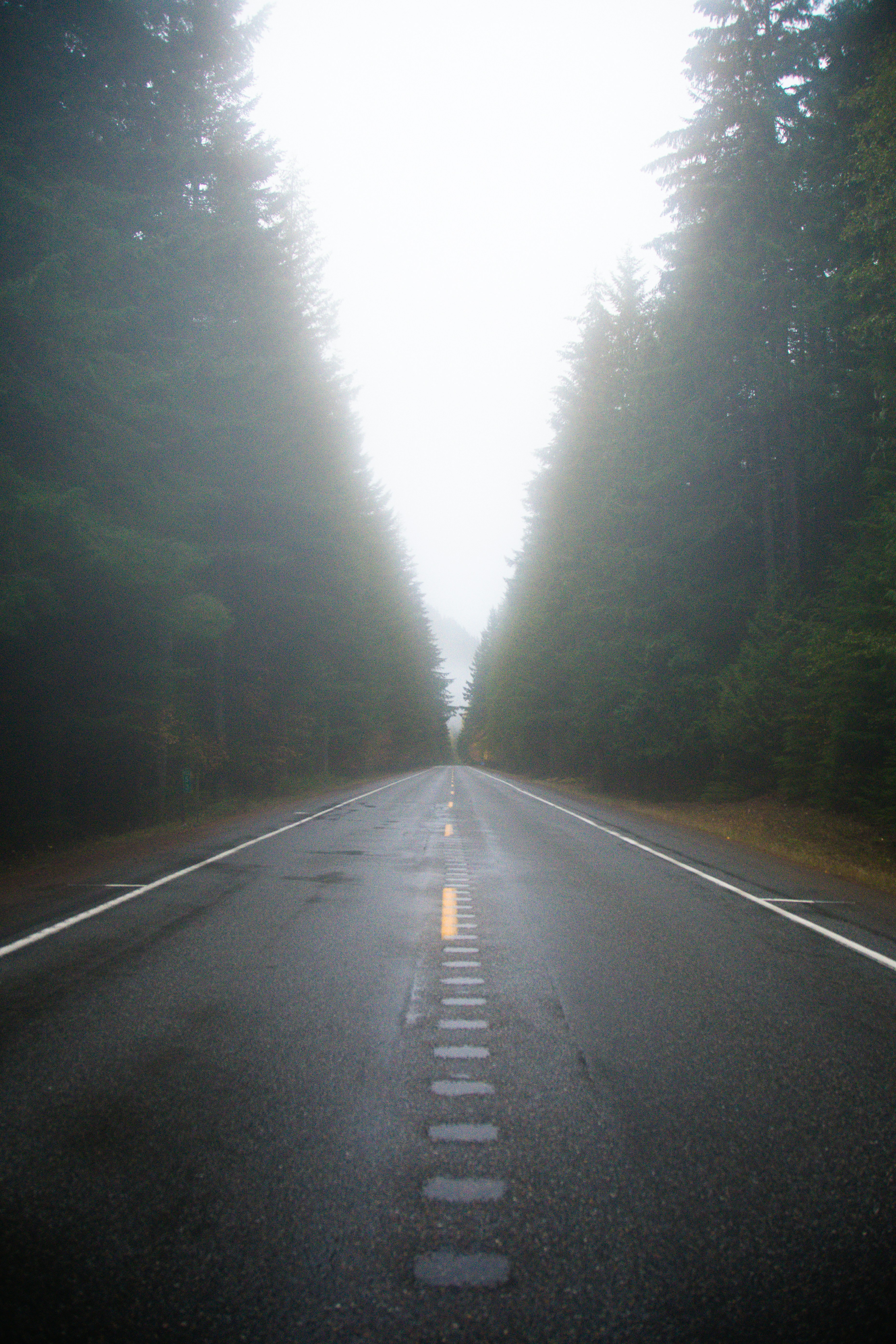 Photo by jackcharles