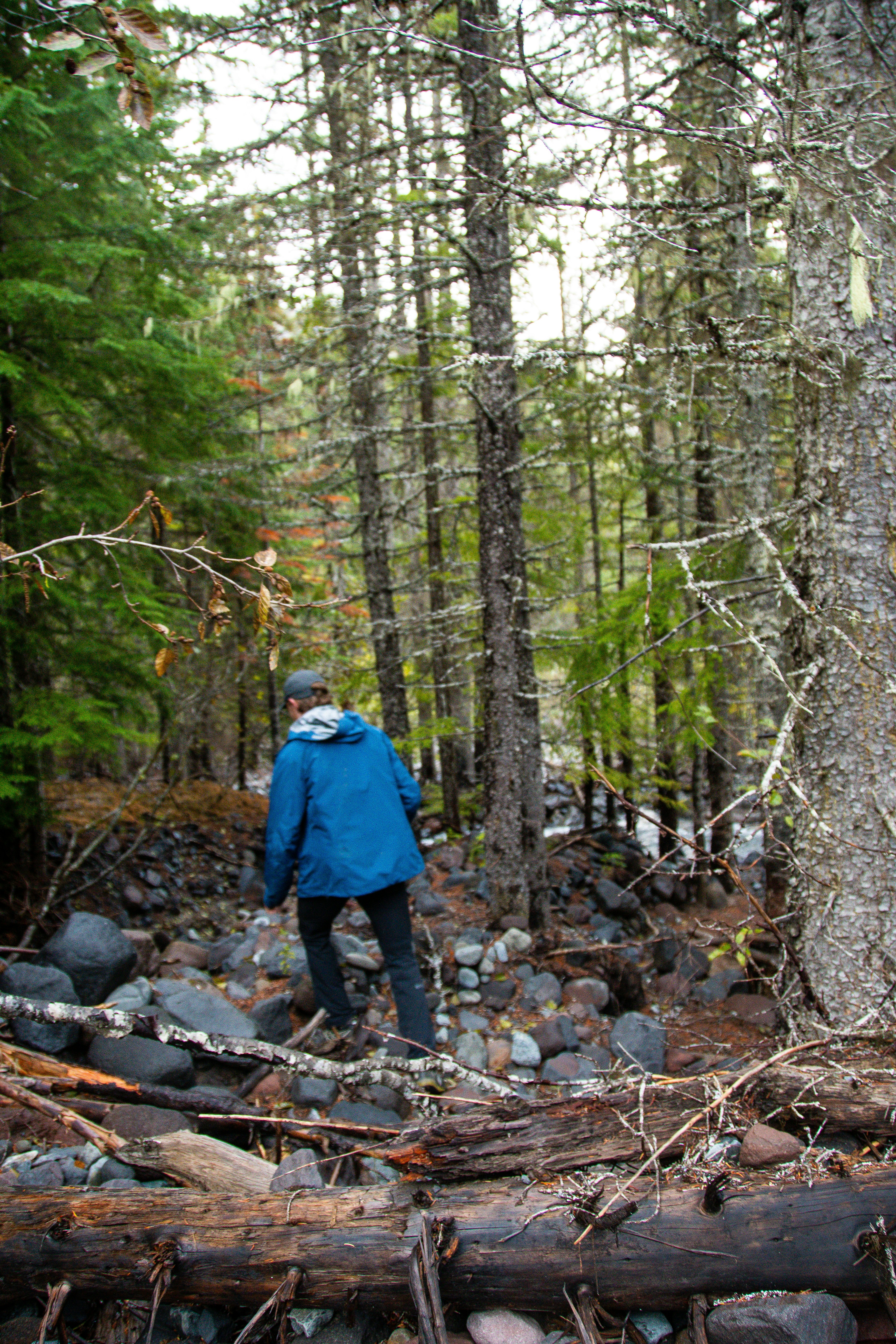 Photo by jackcharles