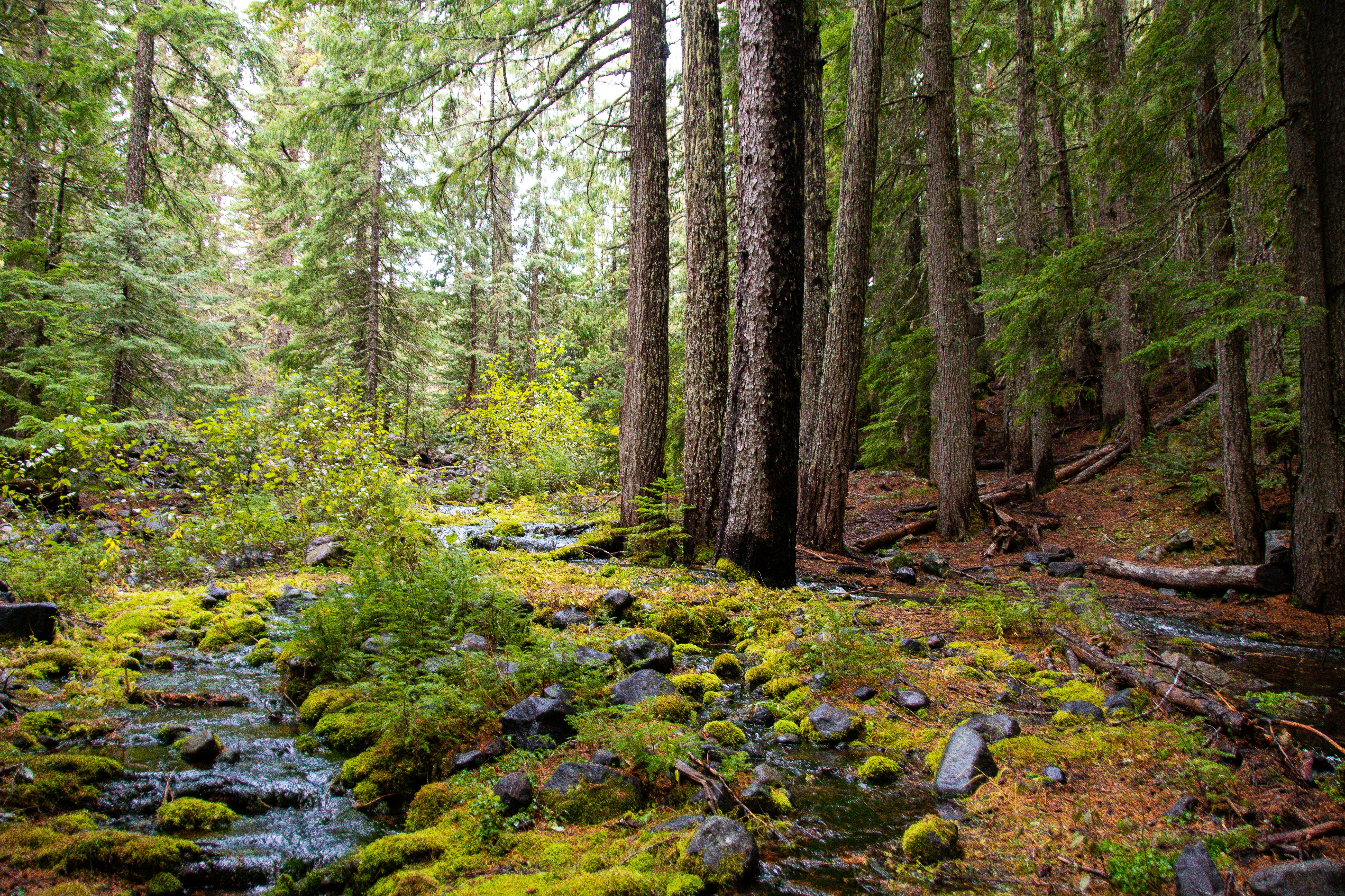 Photo by jackcharles