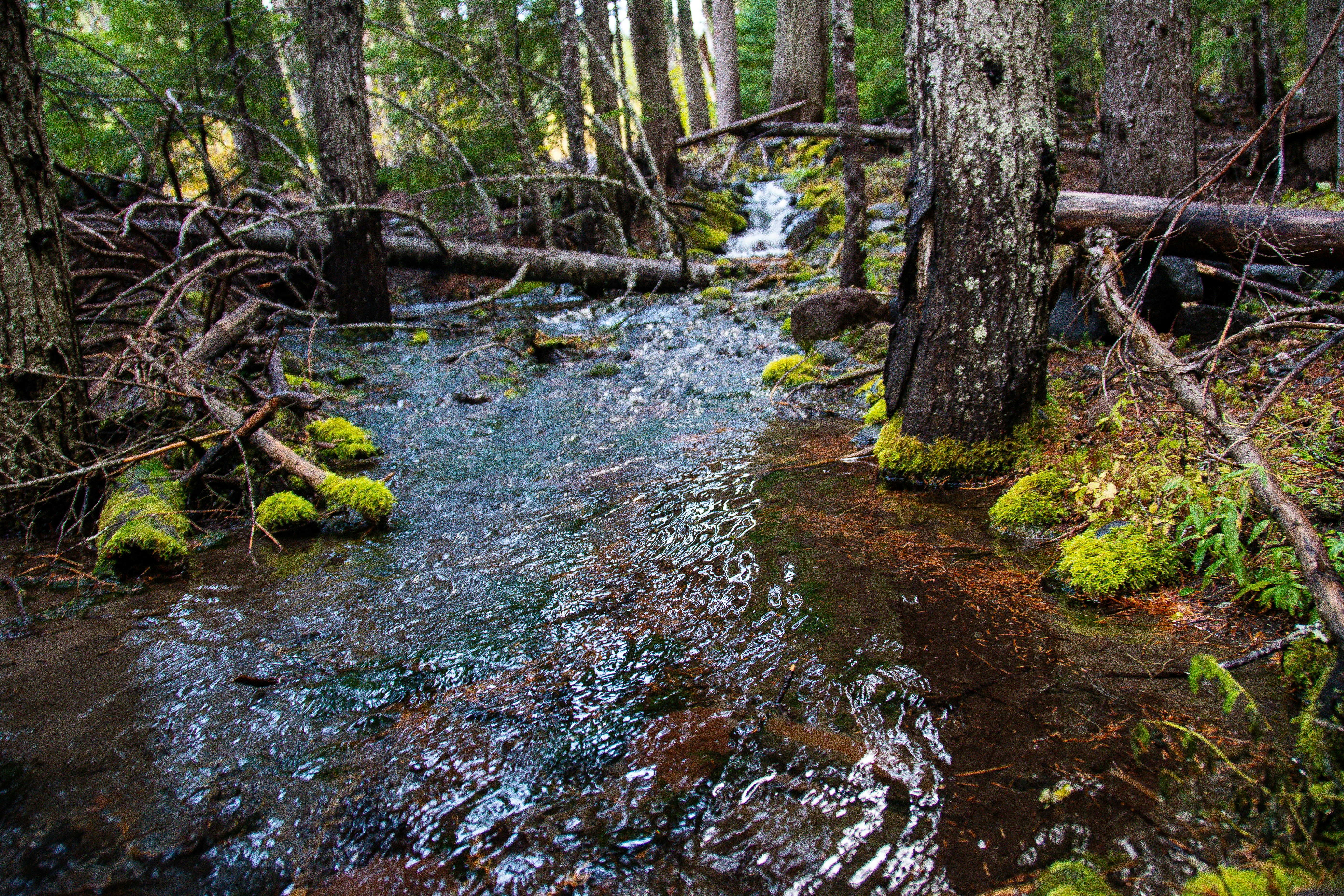 Photo by jackcharles