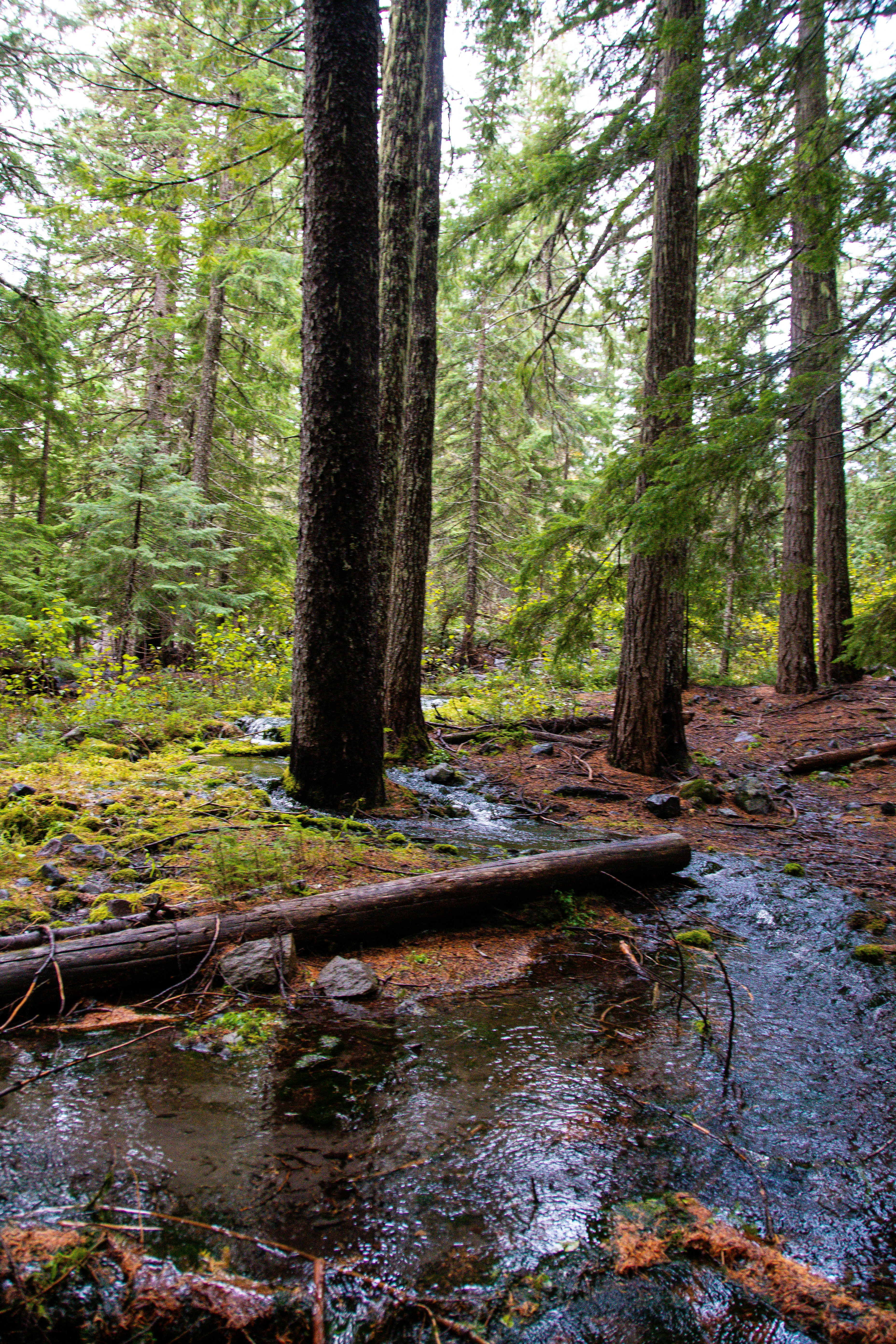 Photo by jackcharles