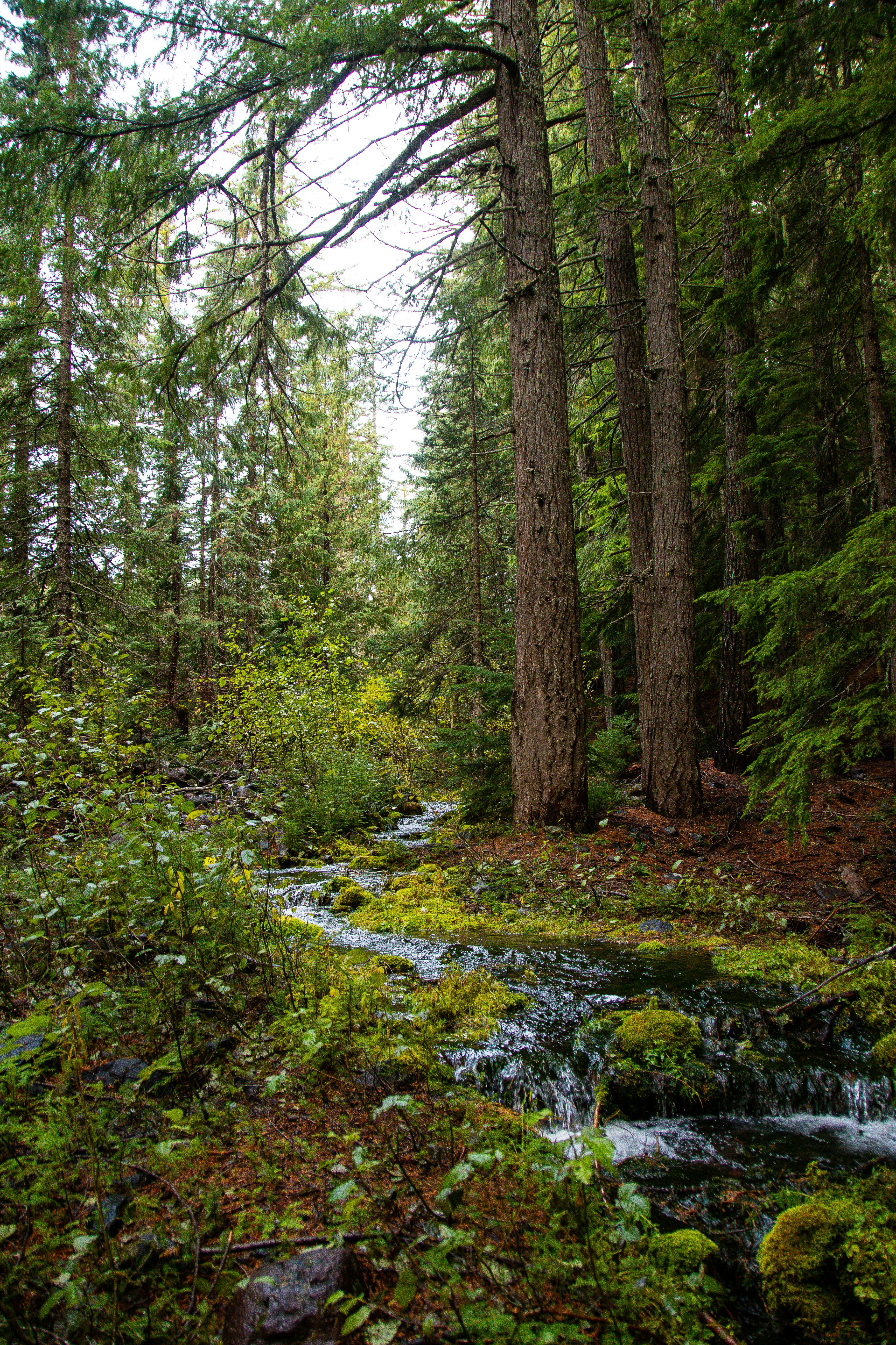 Photo by jackcharles