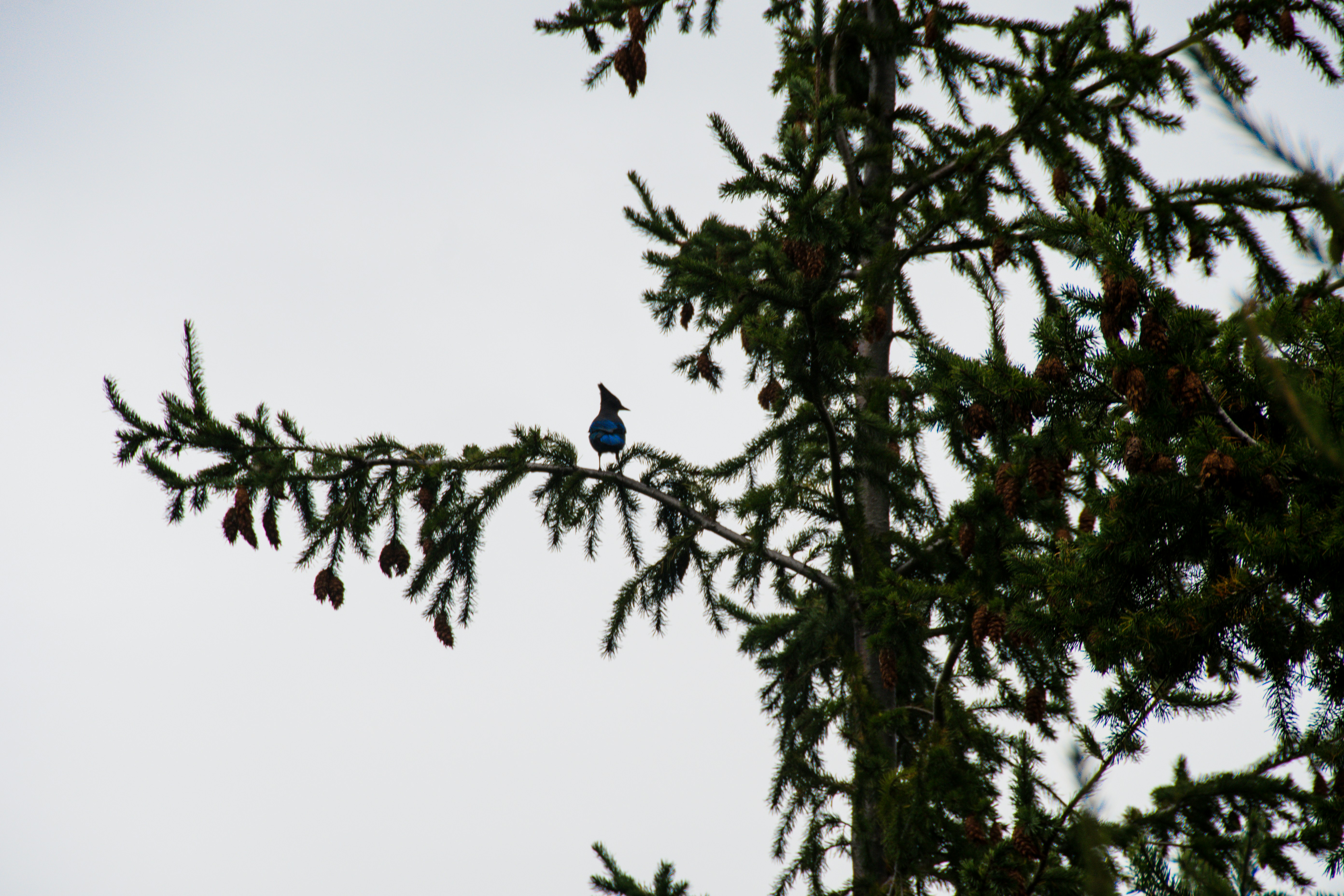 Photo by jackcharles