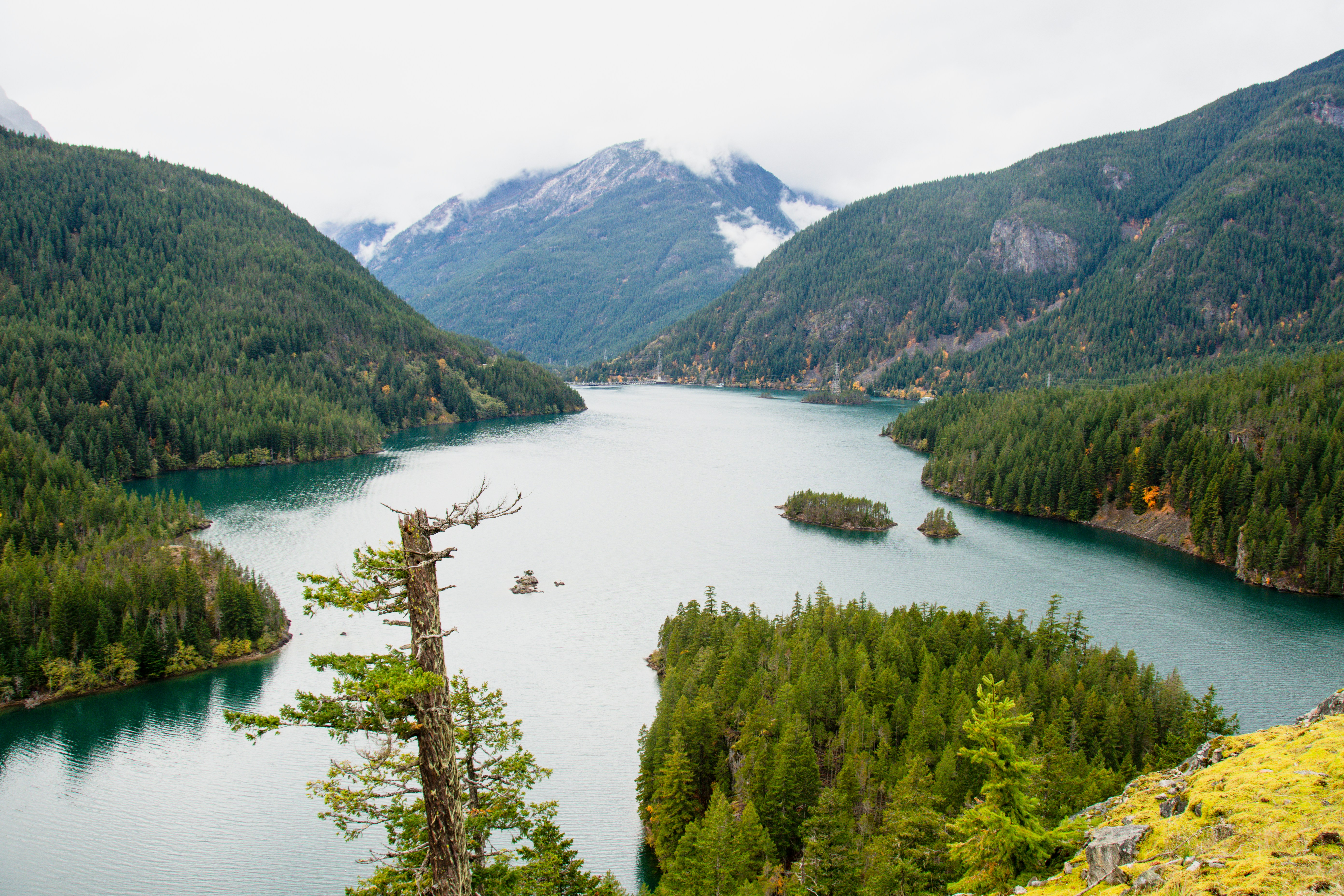 Photo by jackcharles