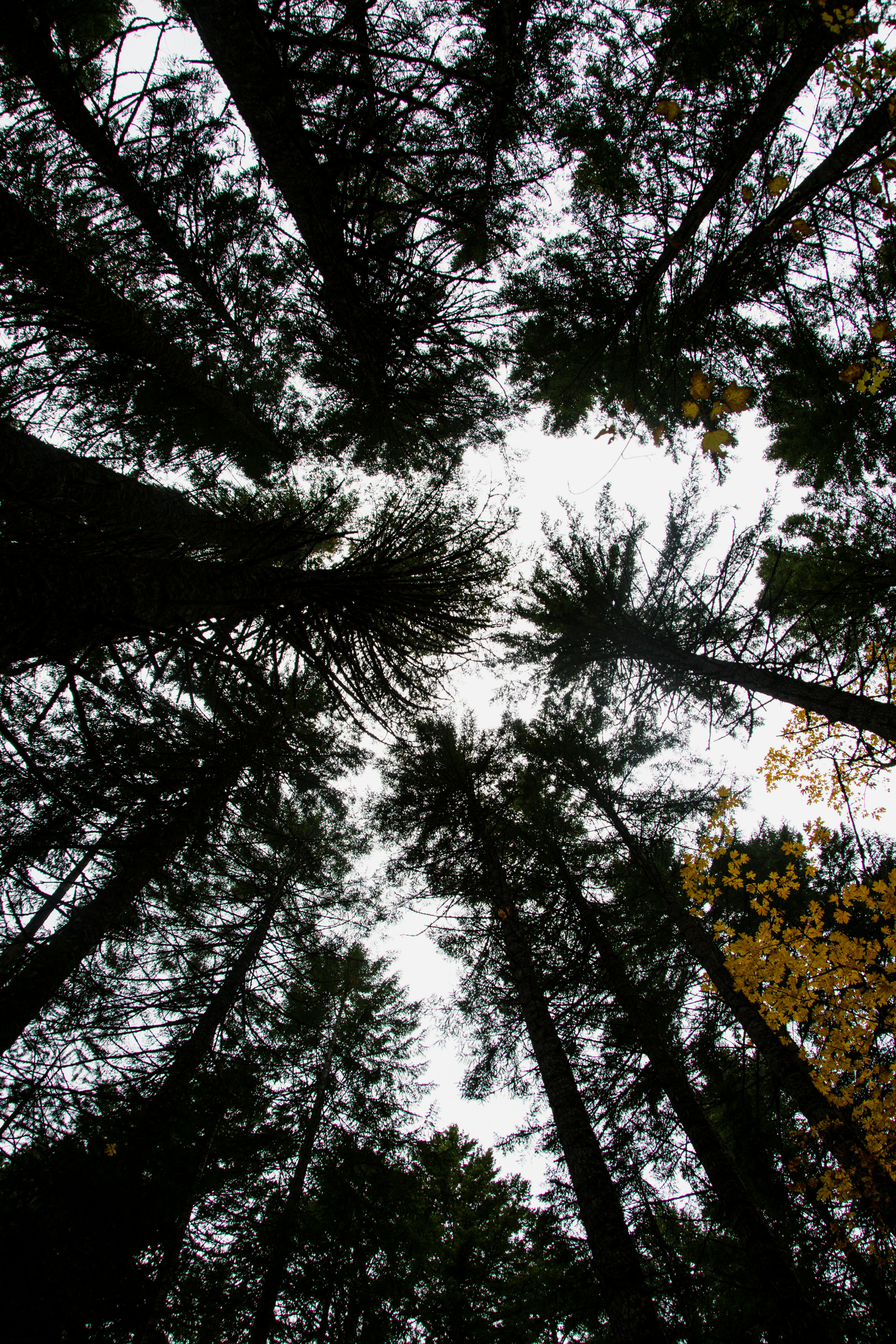 Photo by jackcharles