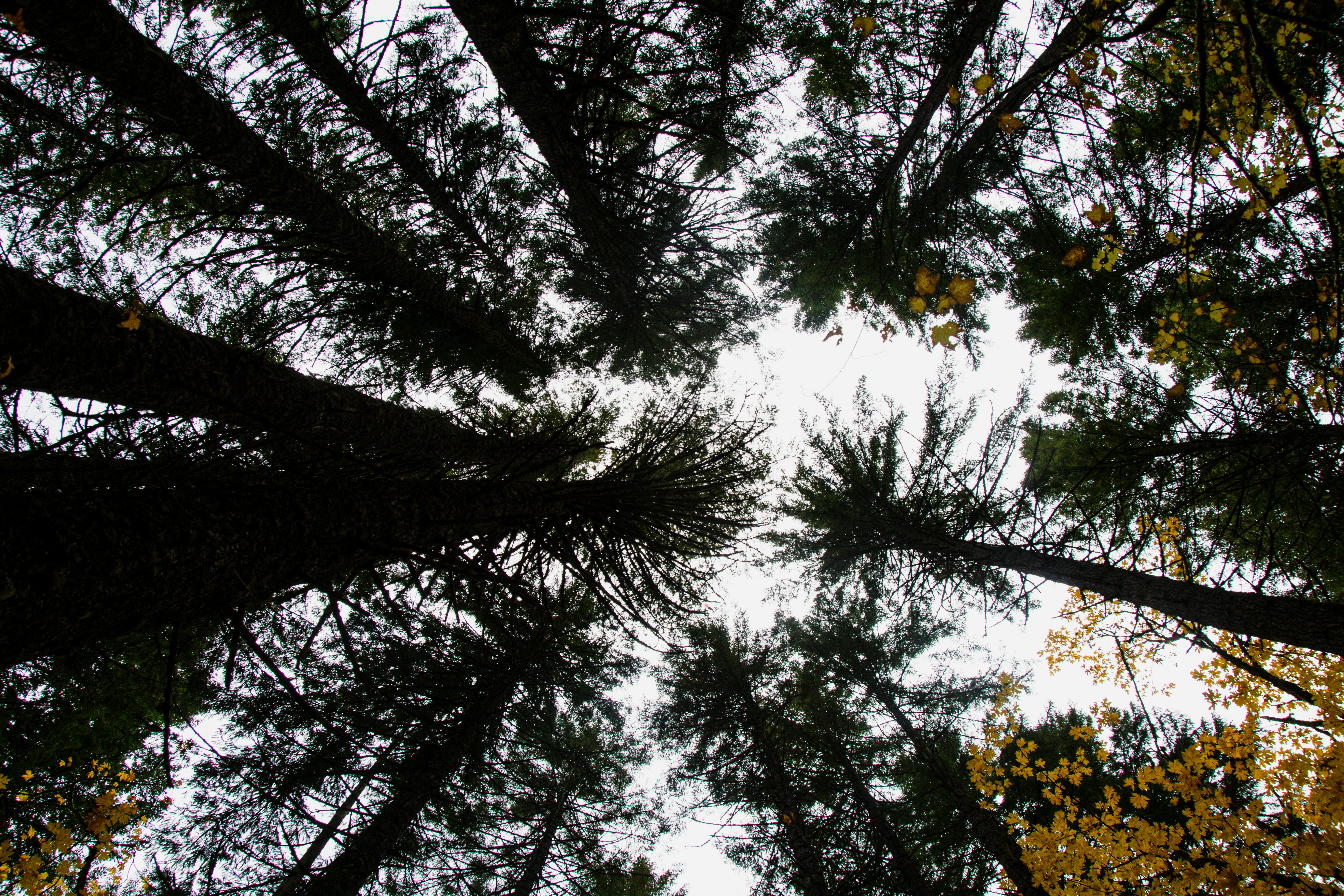 Photo by jackcharles