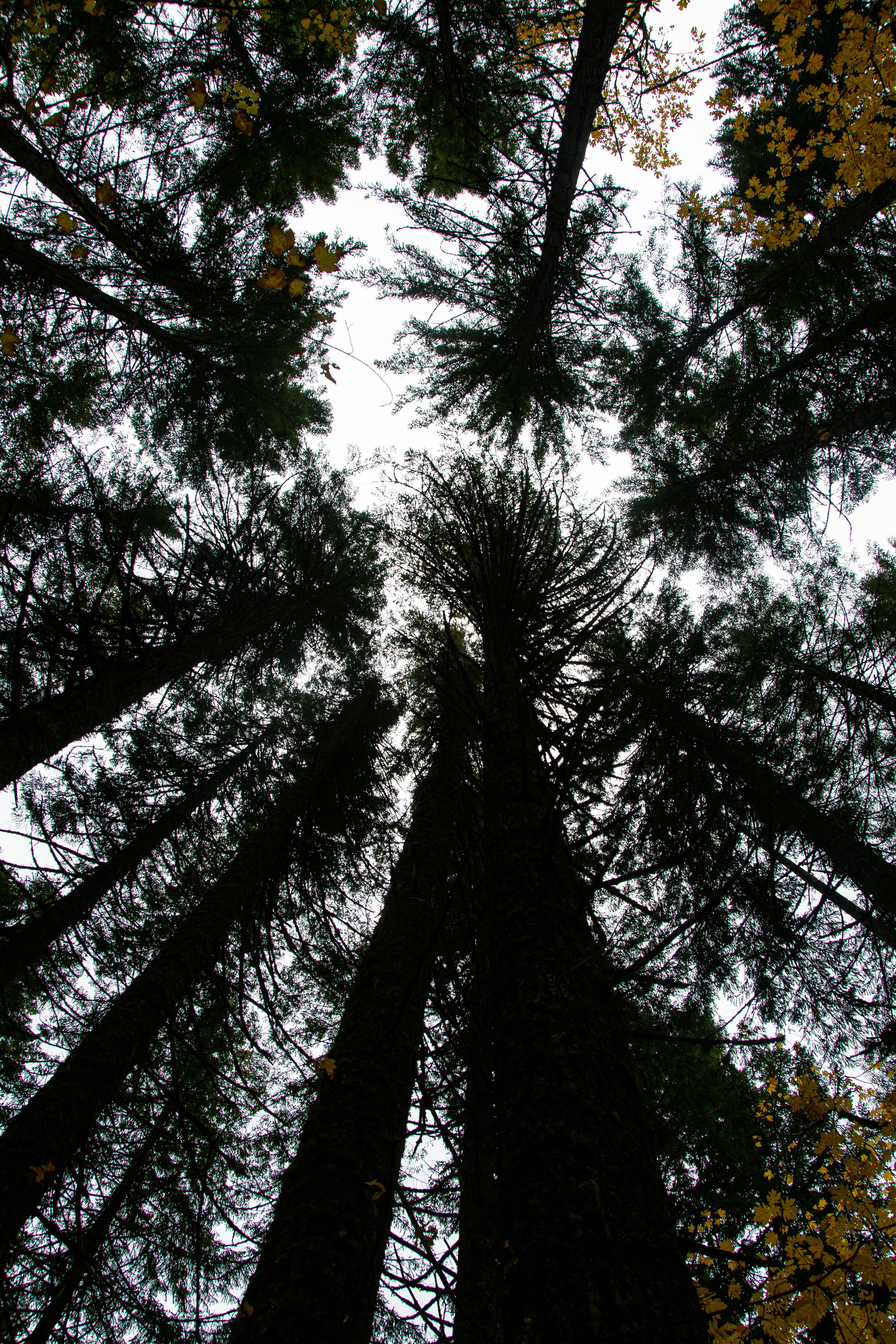 Photo by jackcharles