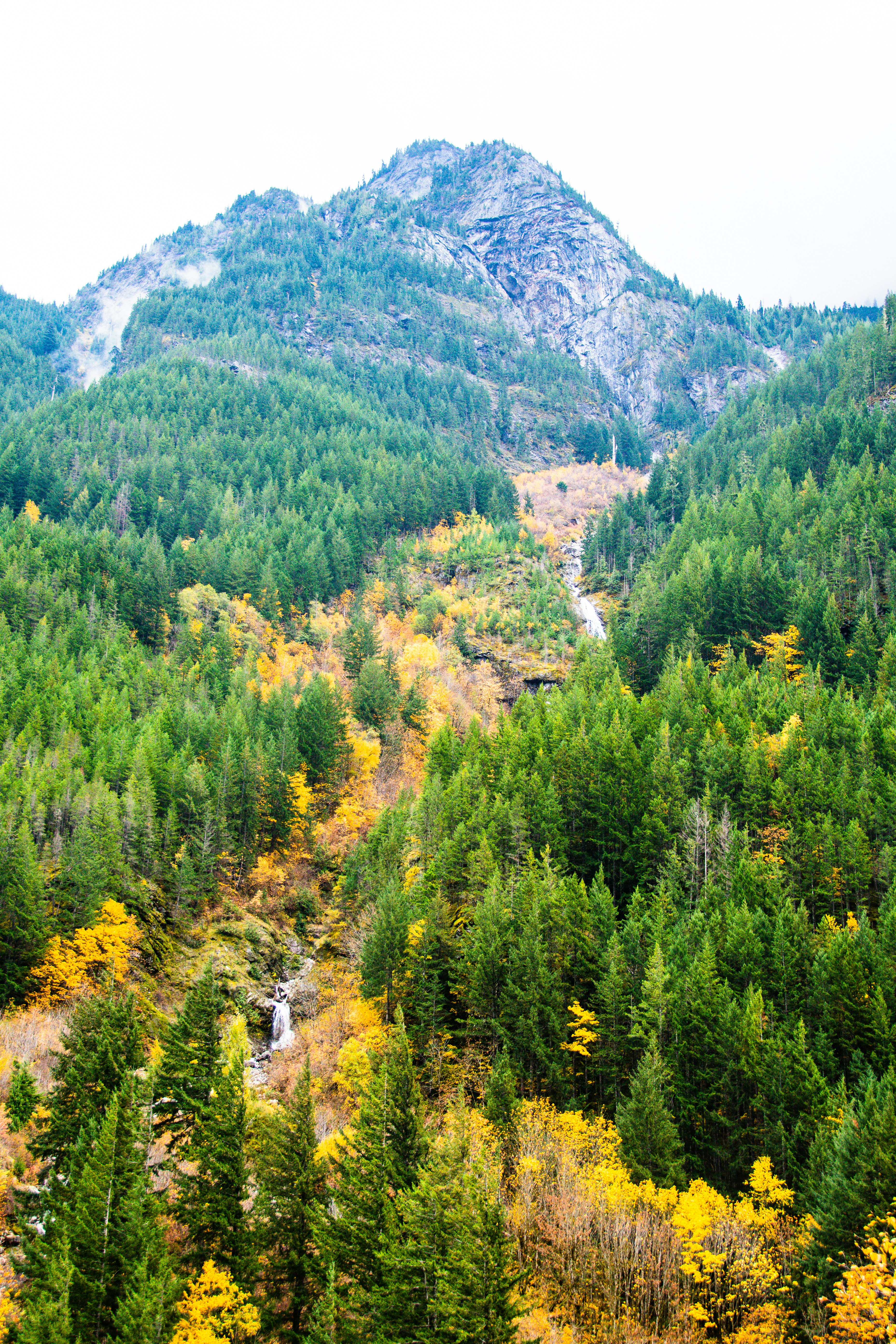 Photo by jackcharles