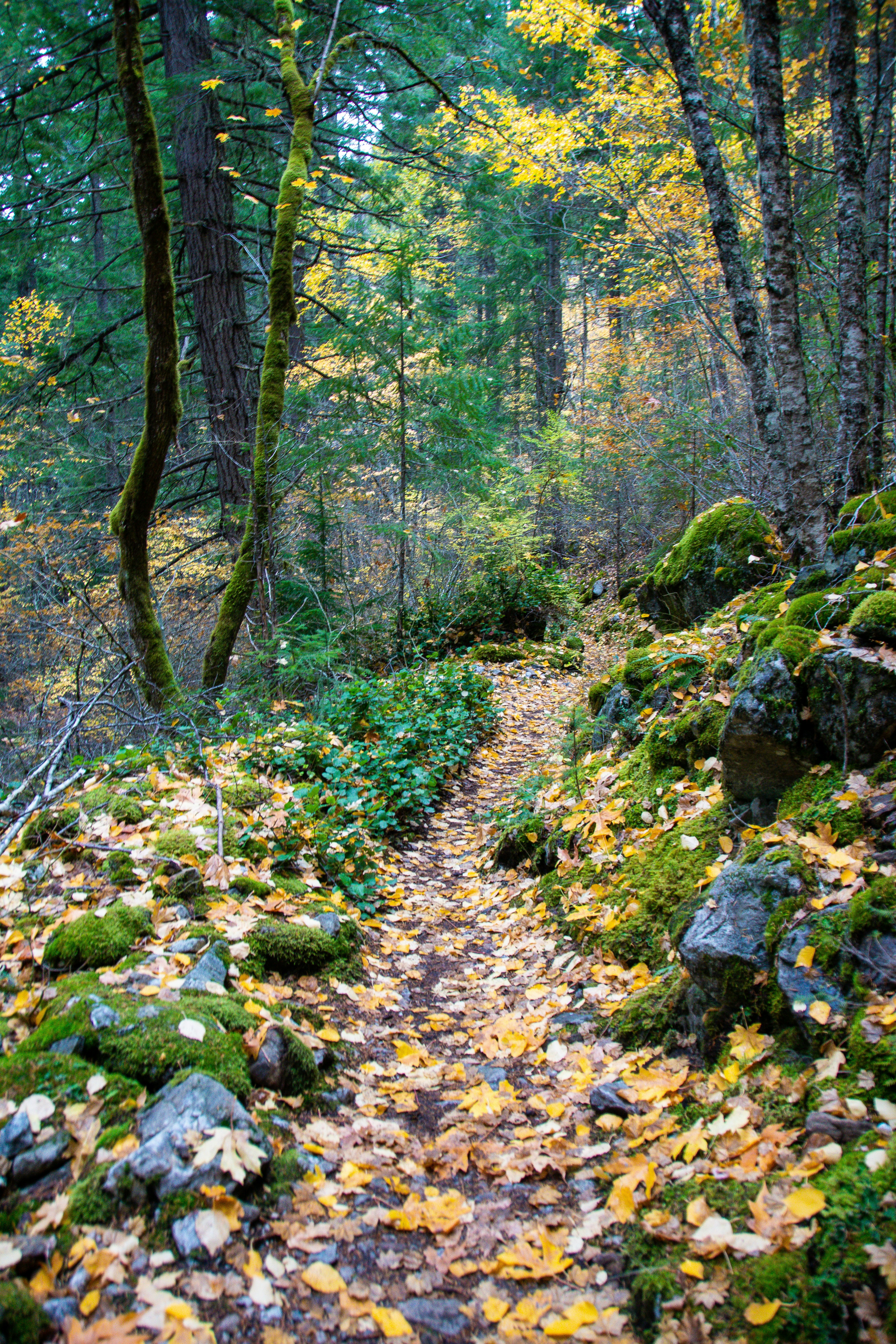 Photo by jackcharles