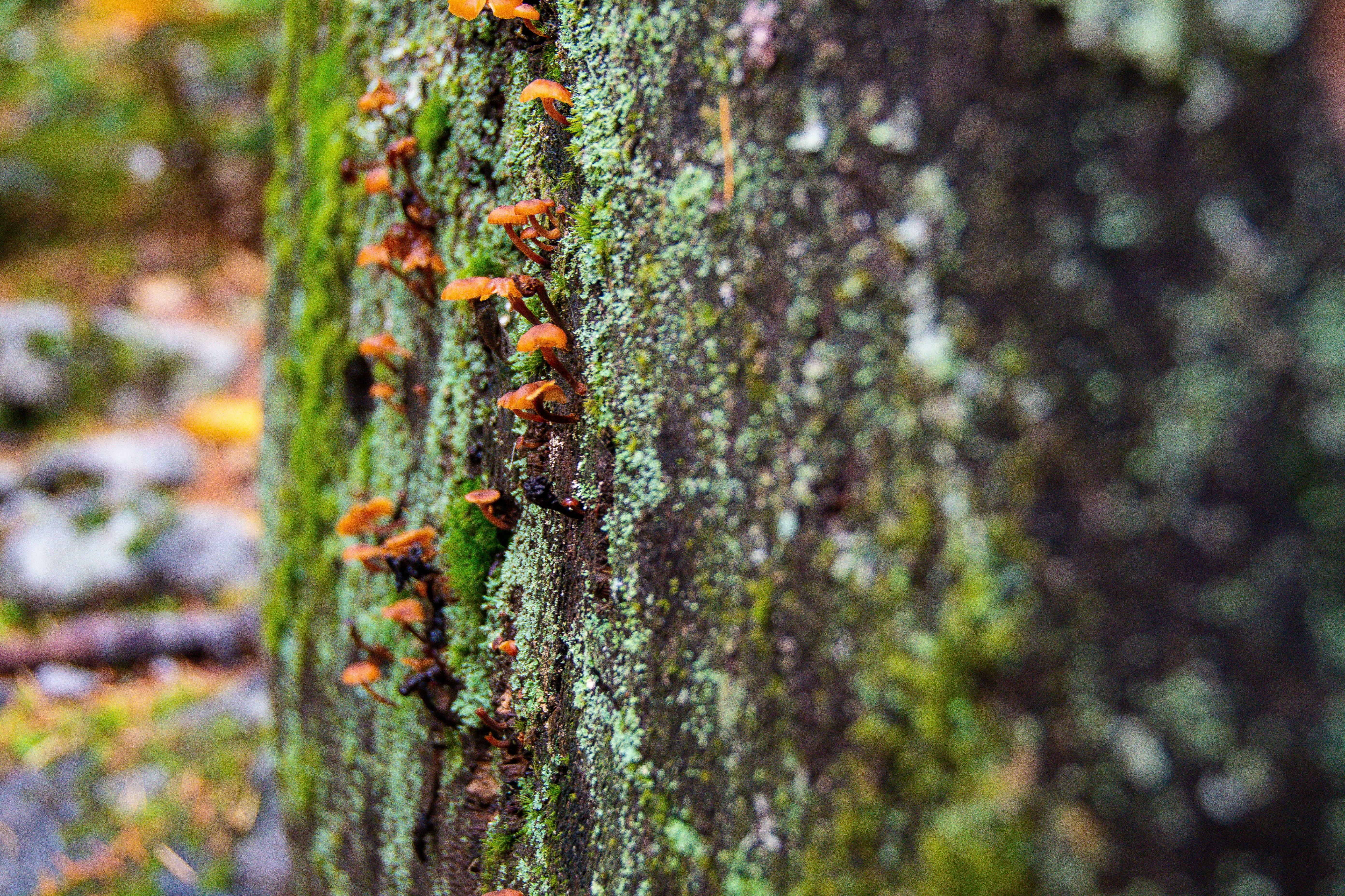 Photo by jackcharles