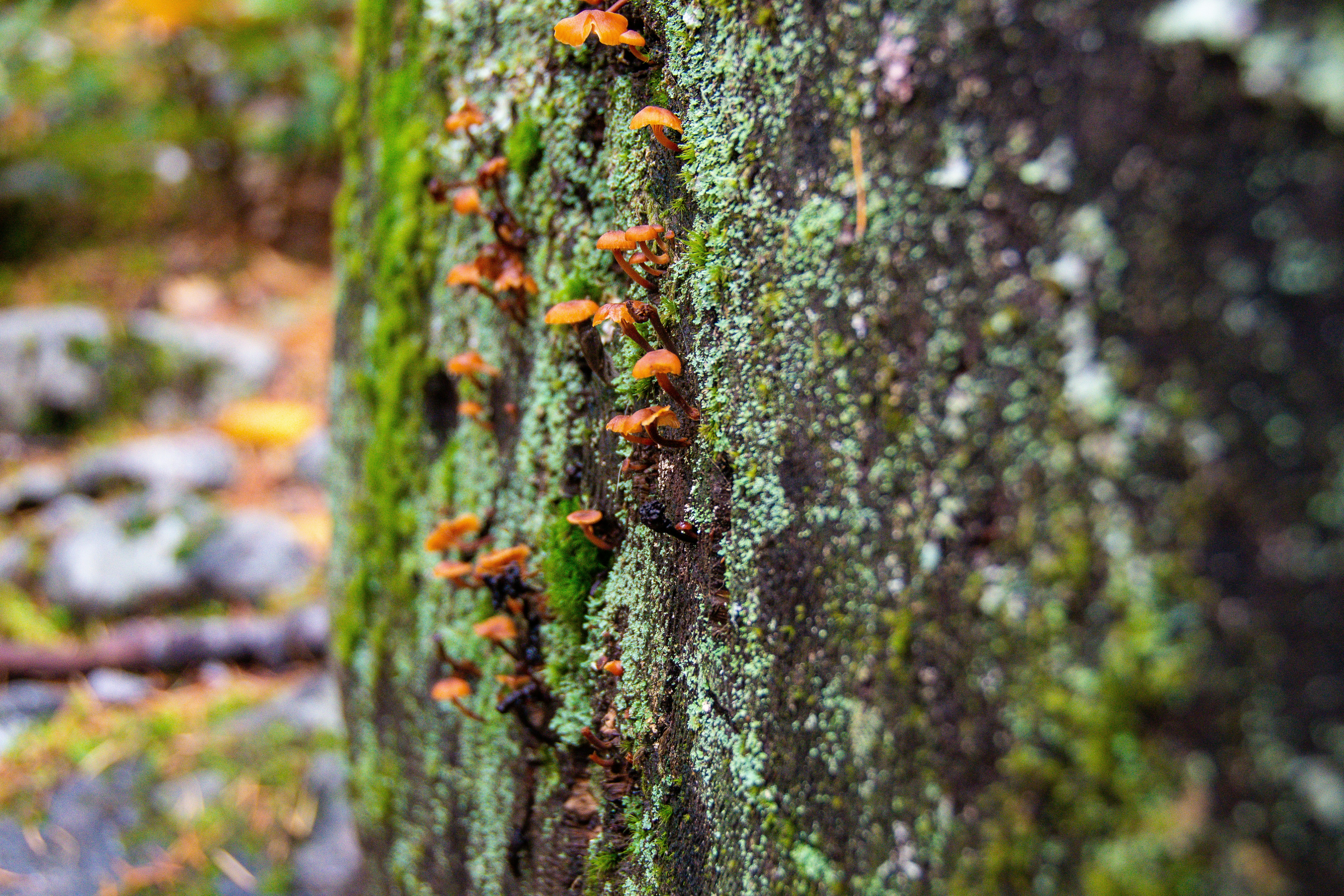 Photo by jackcharles