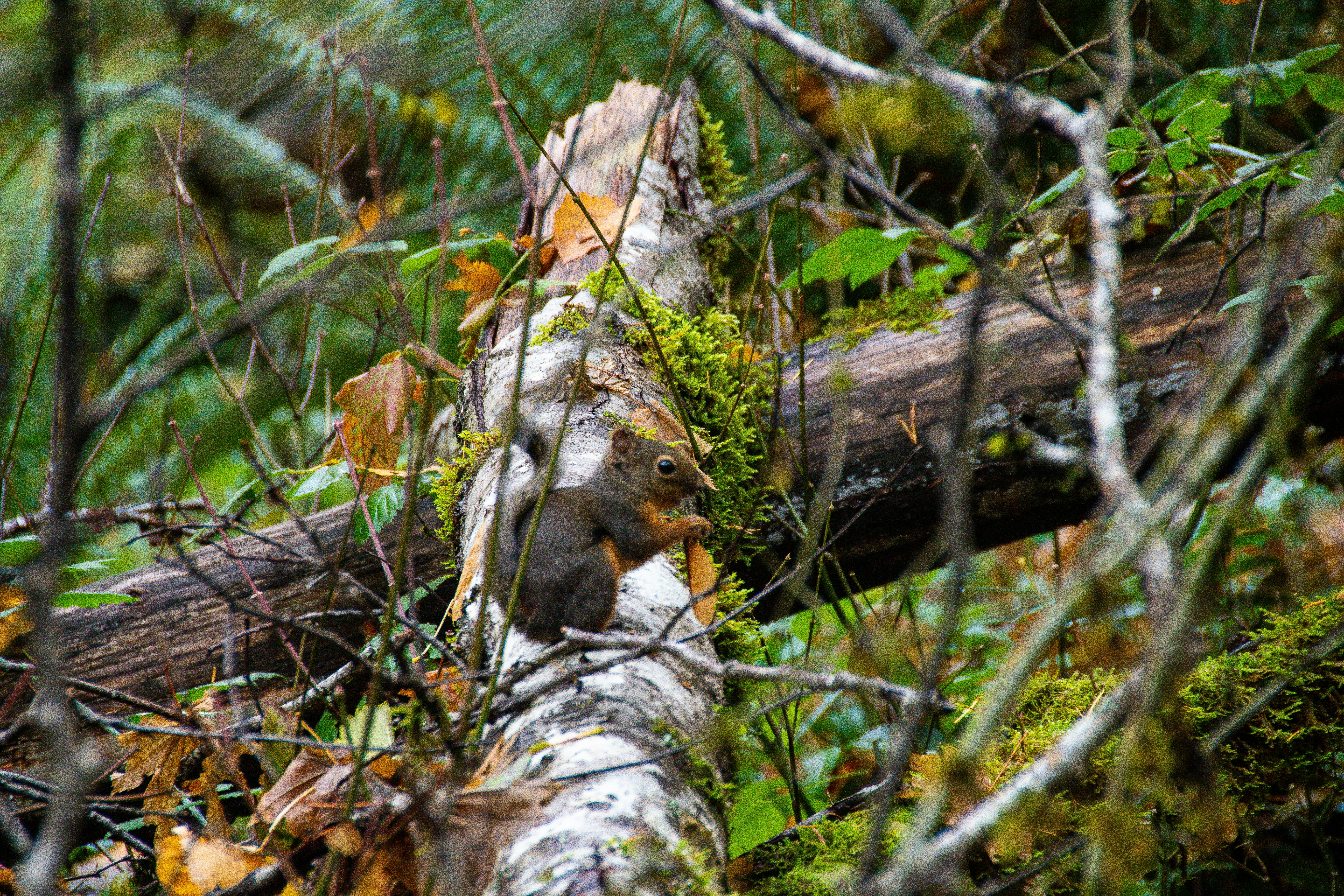 Photo by jackcharles