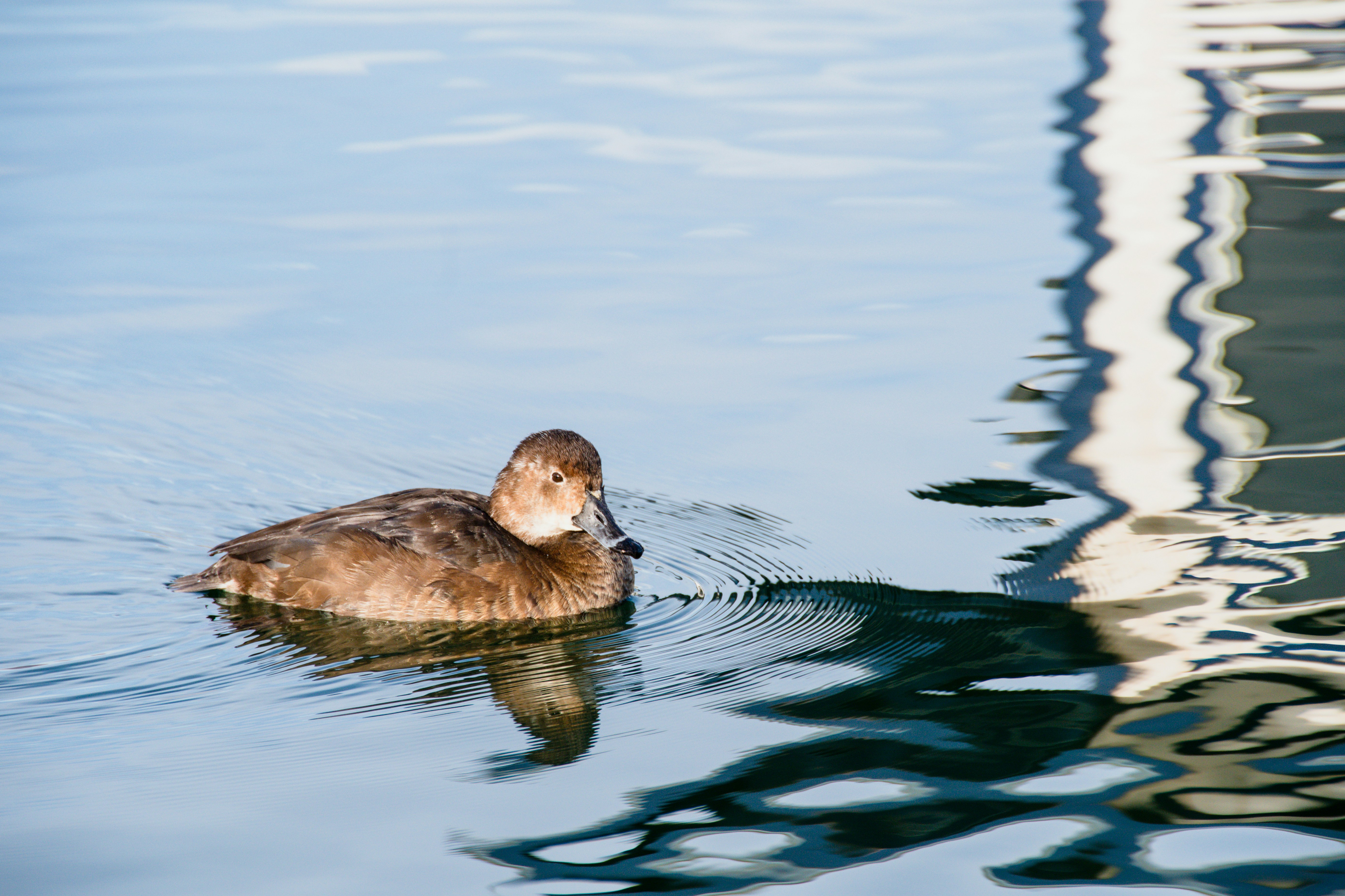 Photo by jackcharles