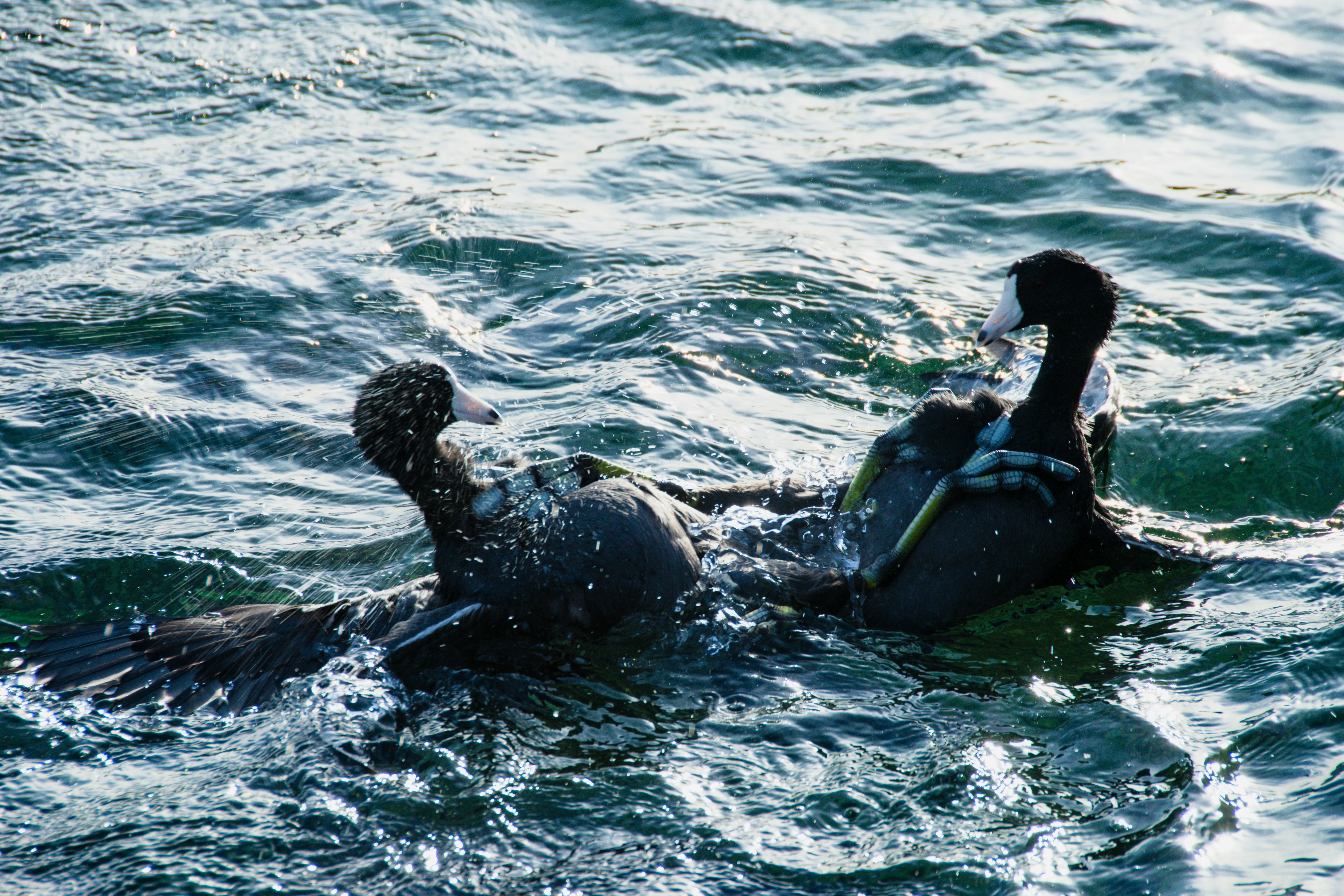 Photo by jackcharles