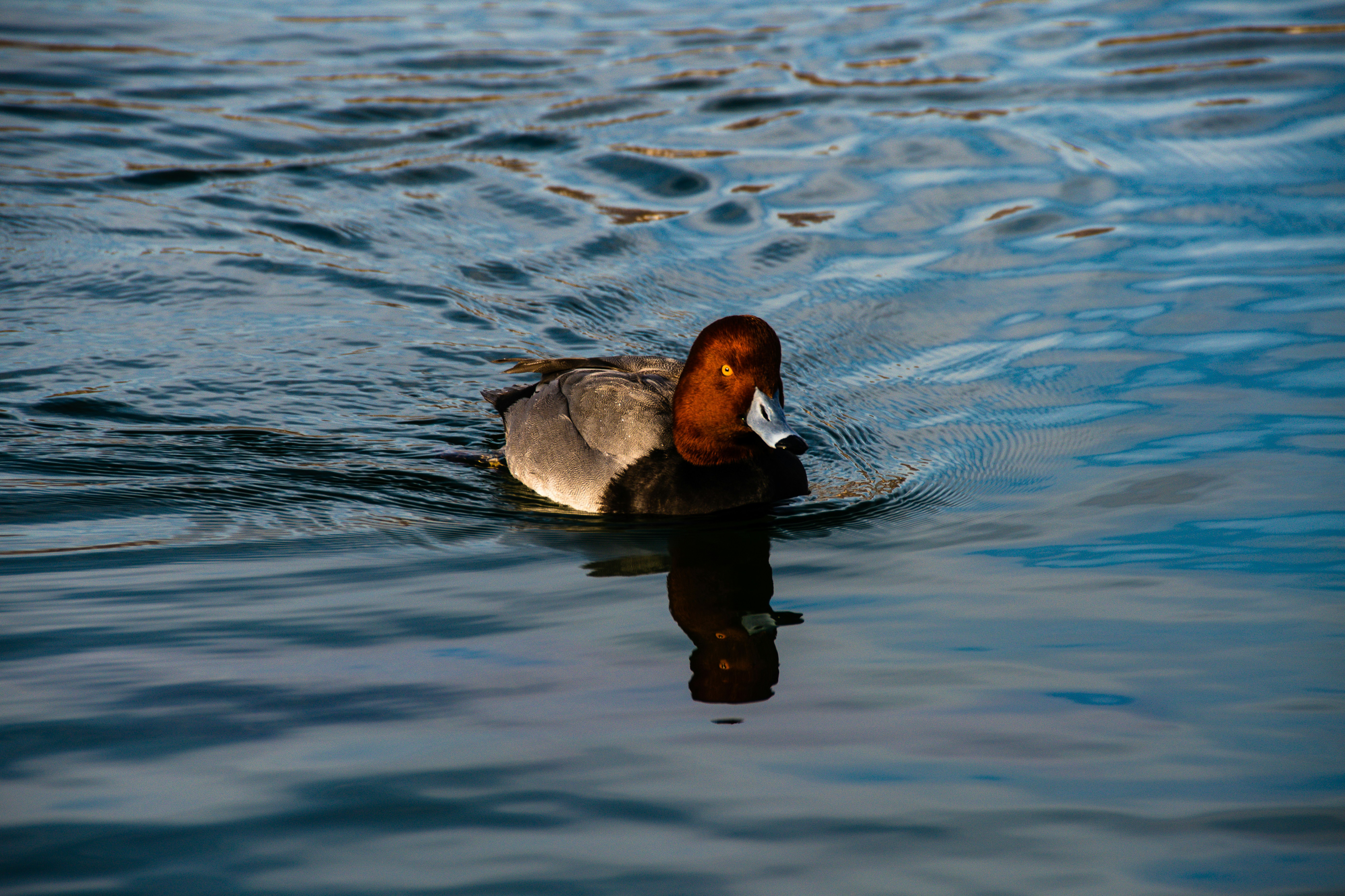 Photo by jackcharles