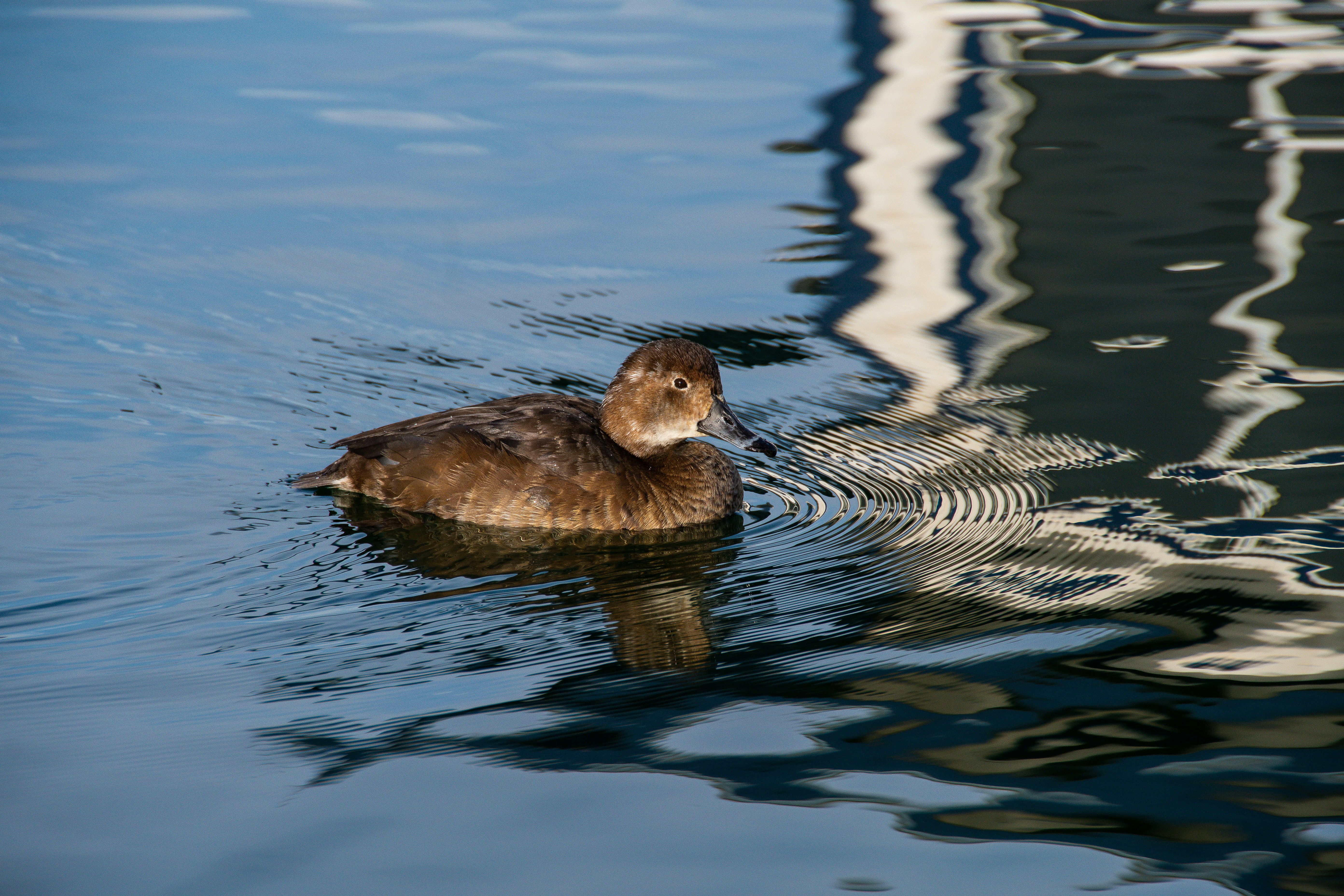 Photo by jackcharles