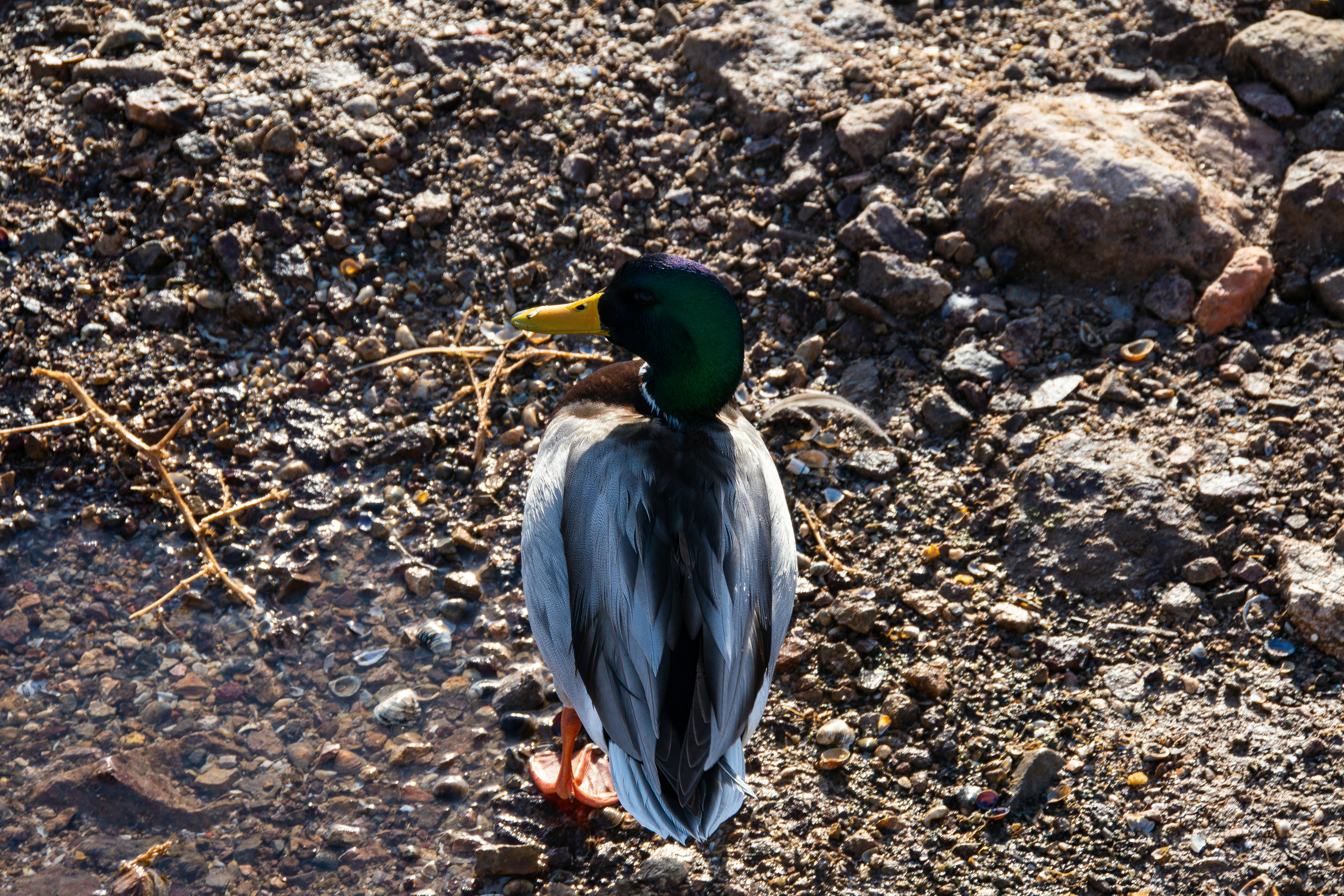 Photo by jackcharles