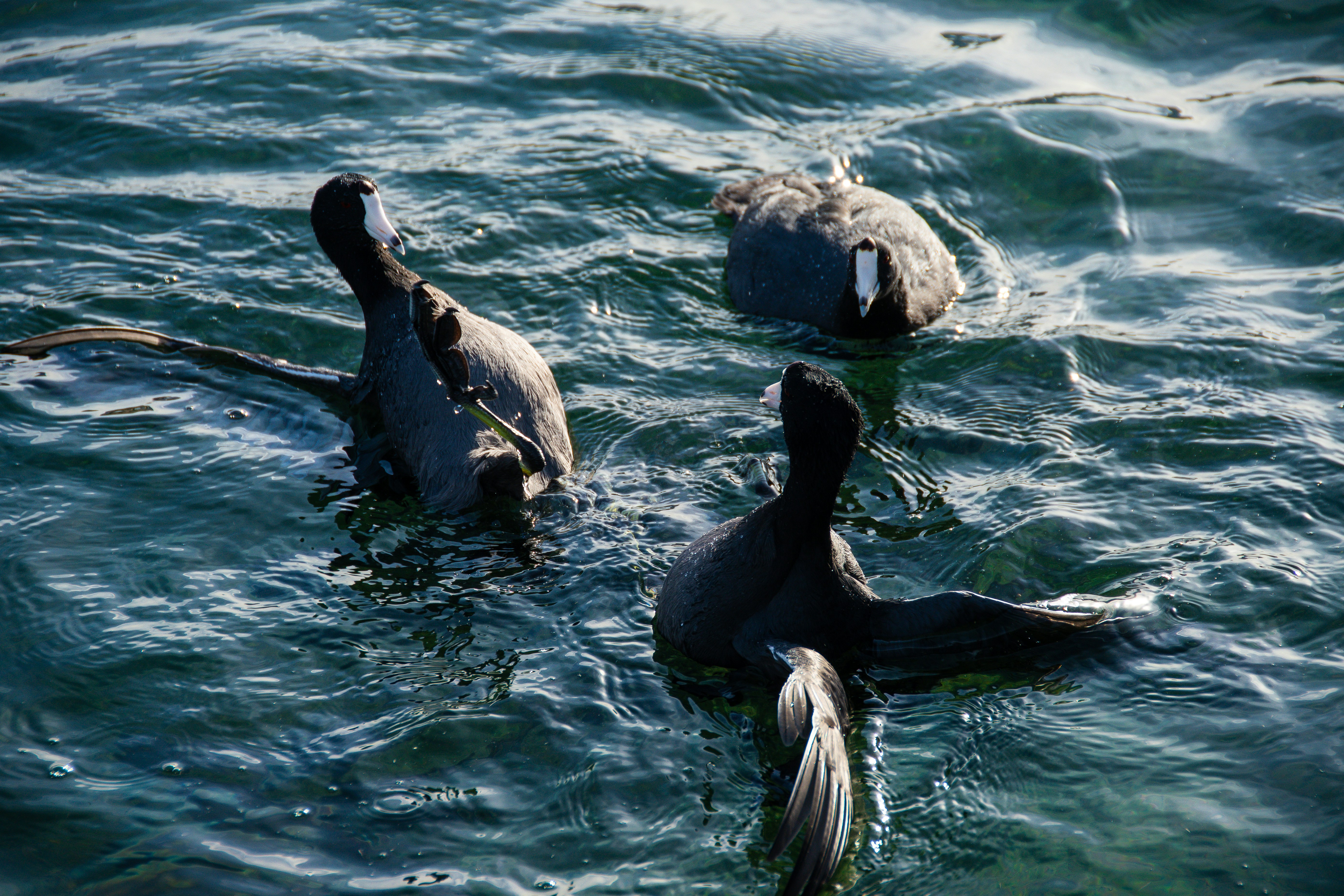 Photo by jackcharles