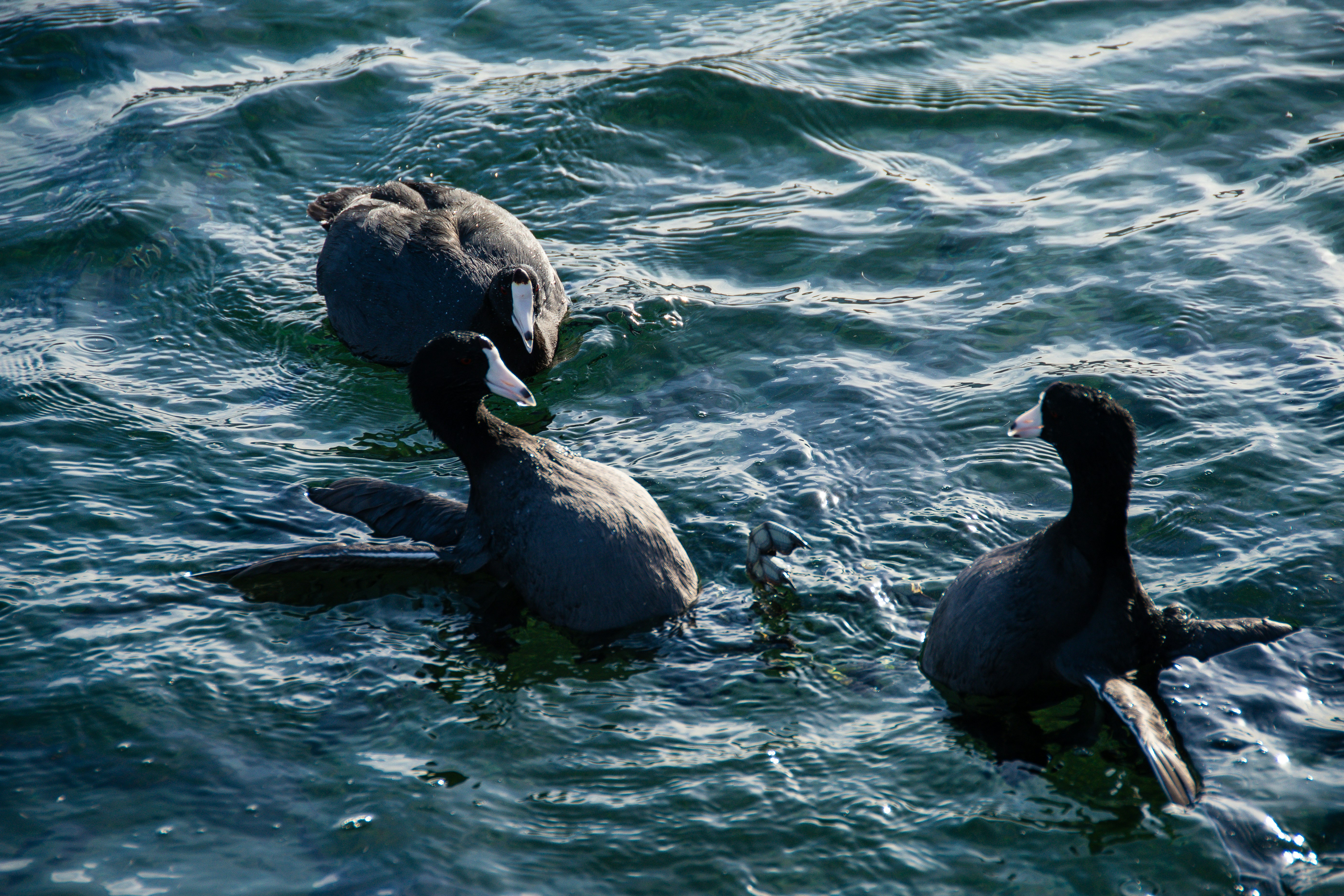 Photo by jackcharles