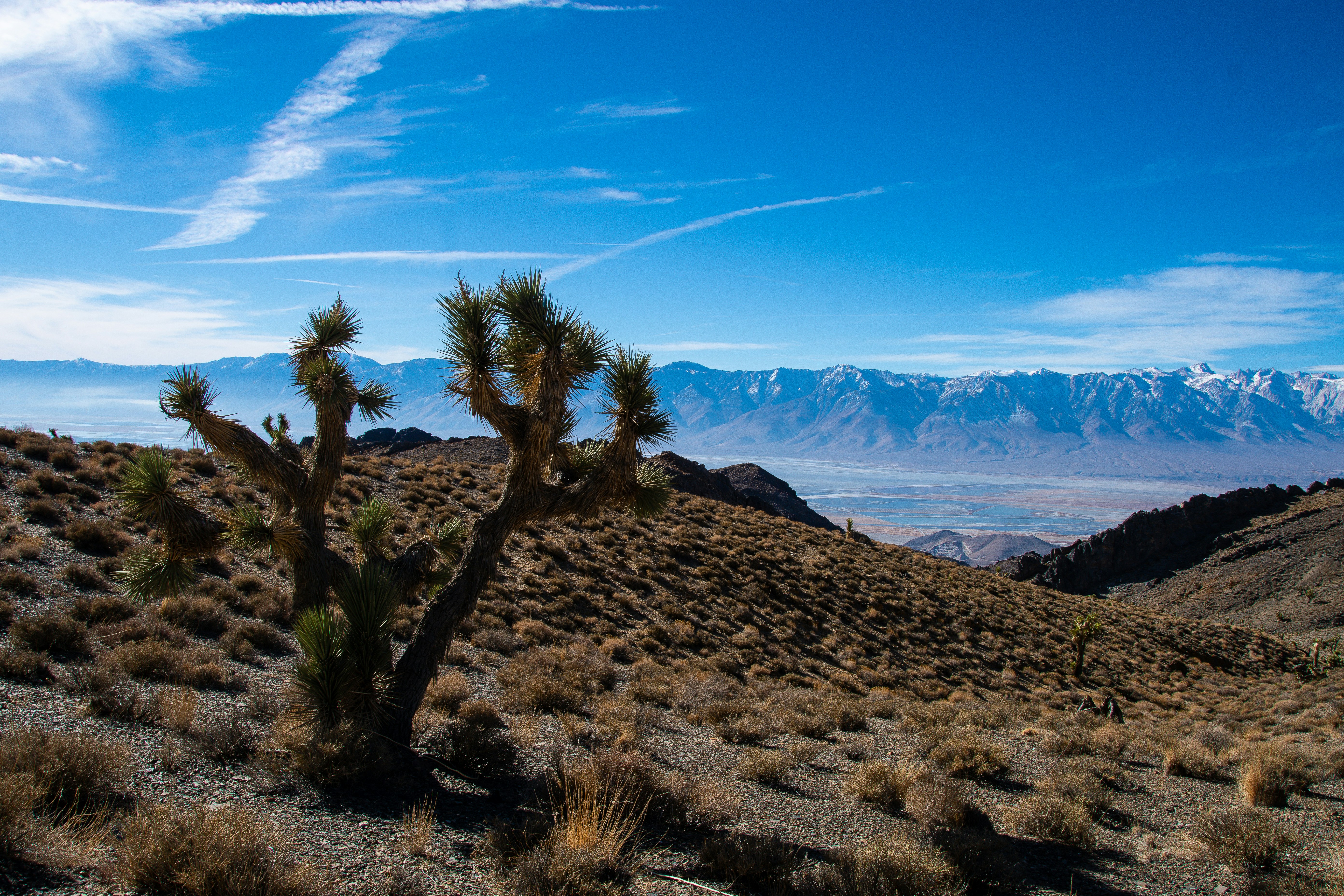 Photo by jackcharles