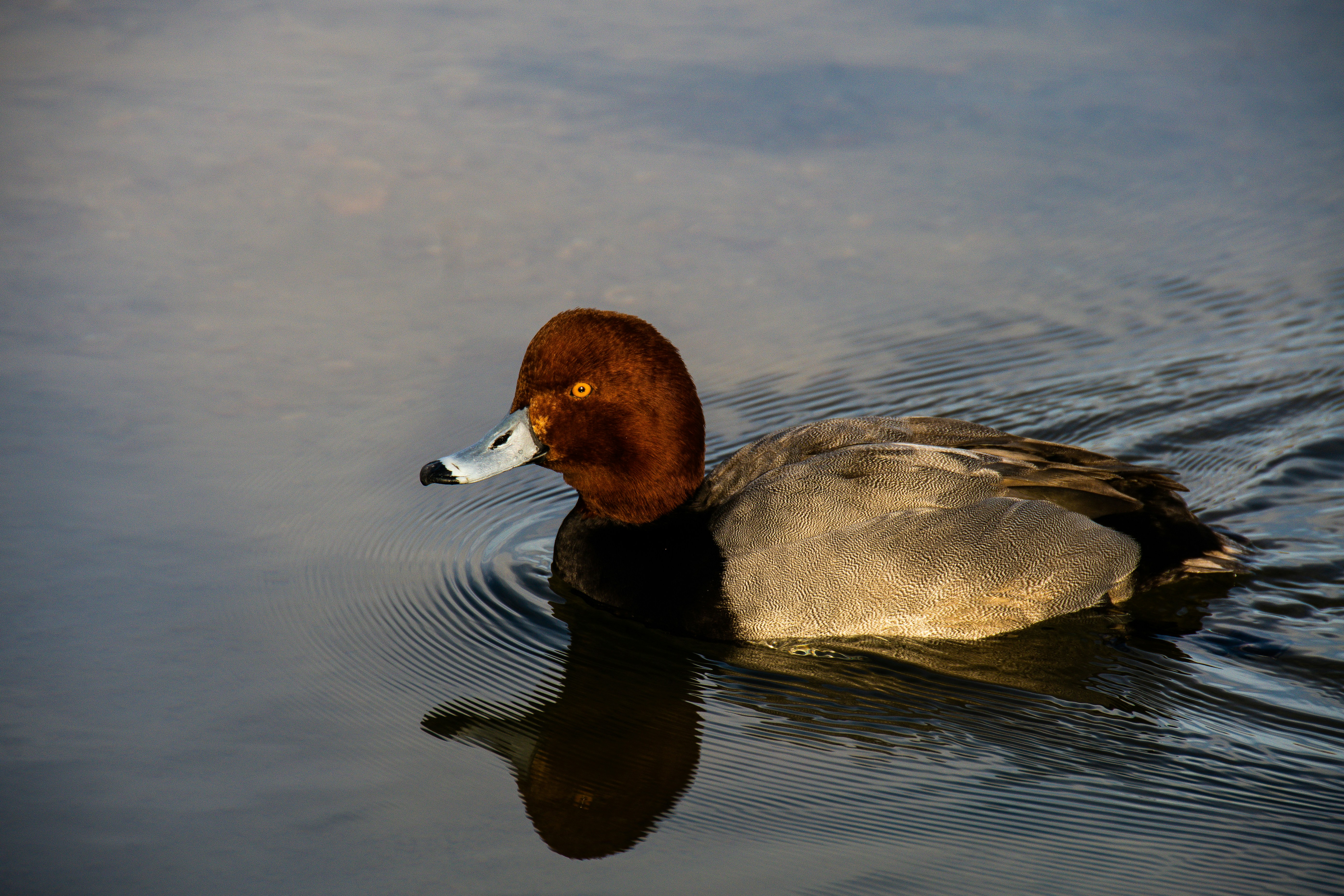 Photo by jackcharles