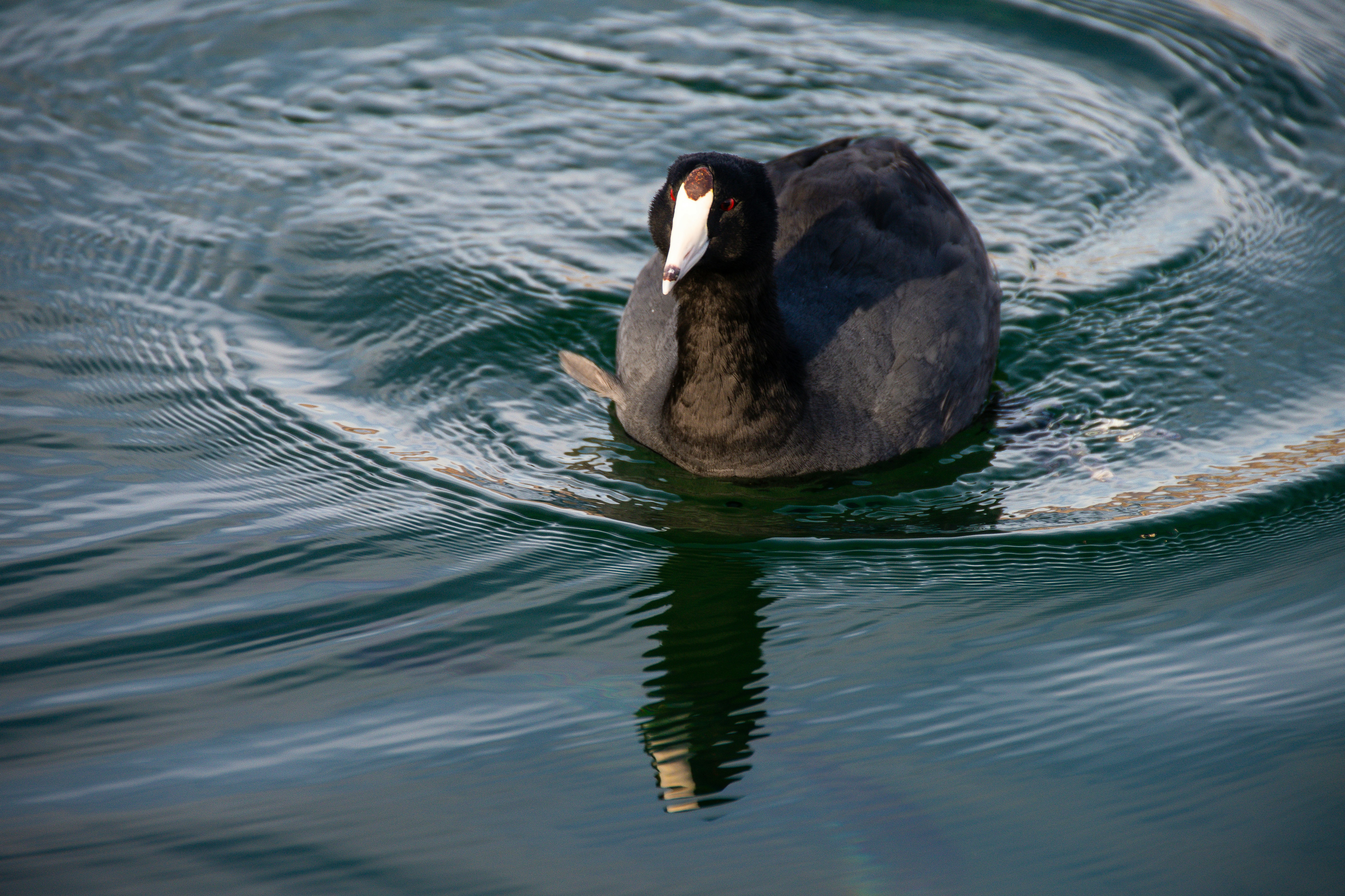 Photo by jackcharles