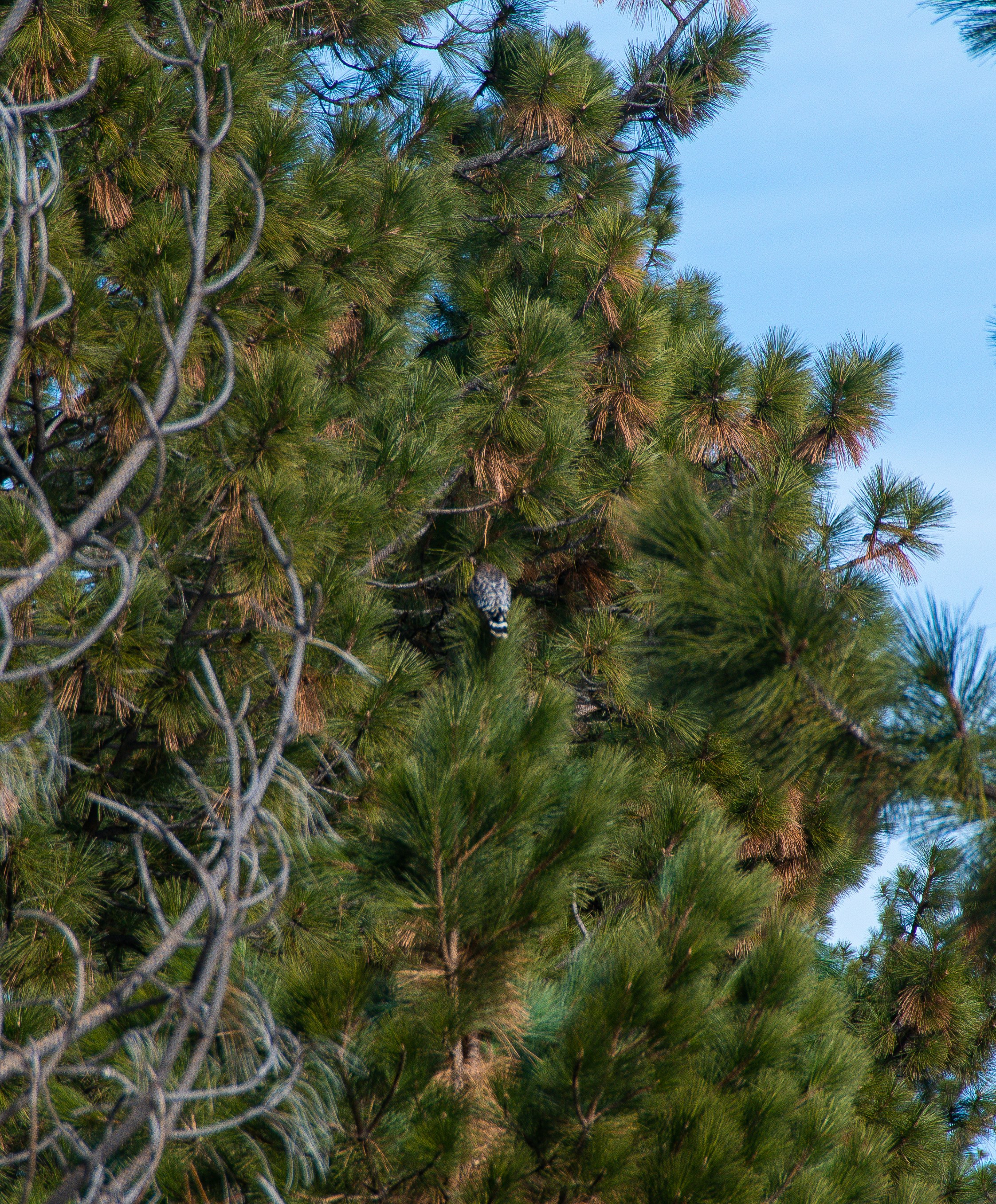 Photo by jackcharles