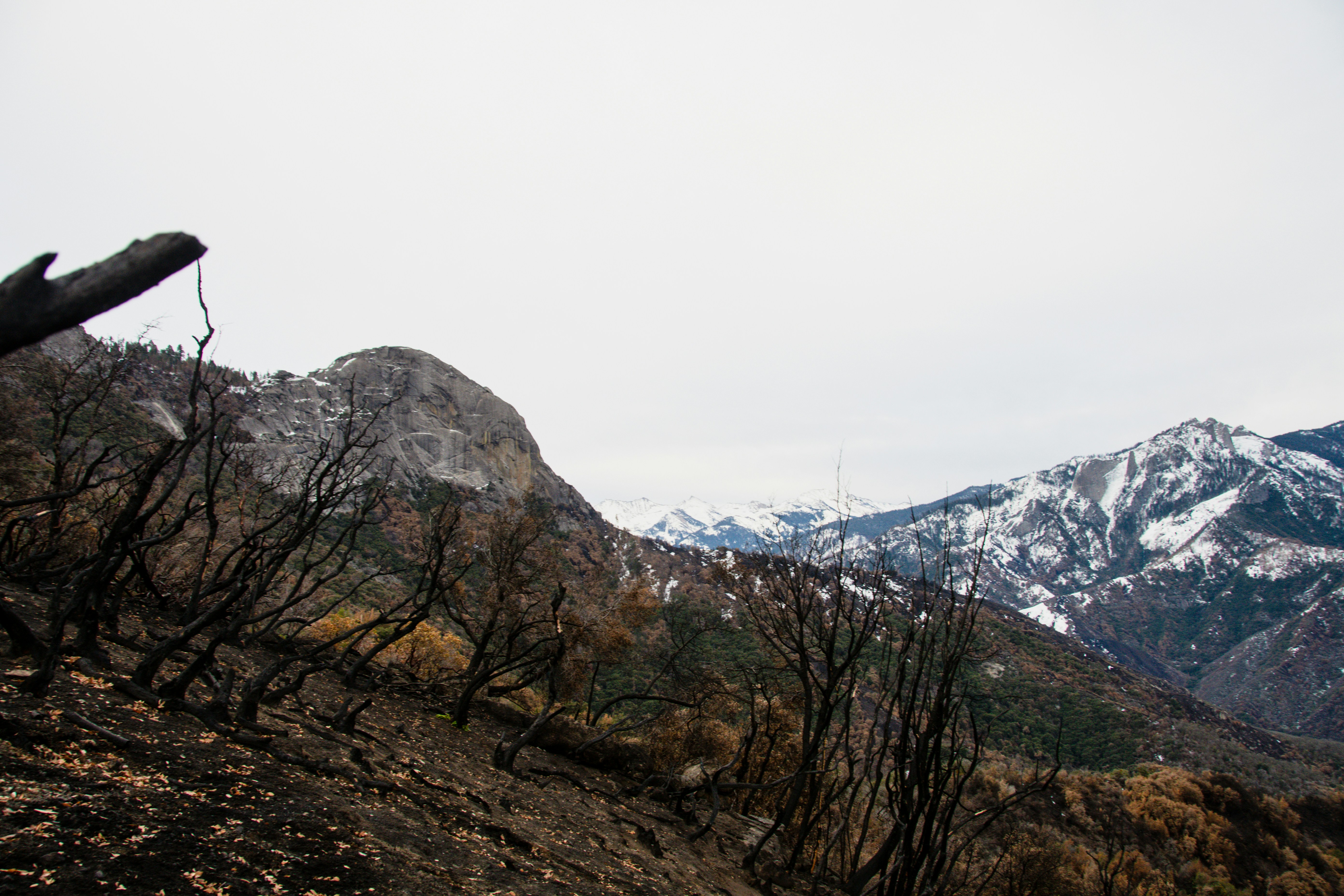 Photo by jackcharles