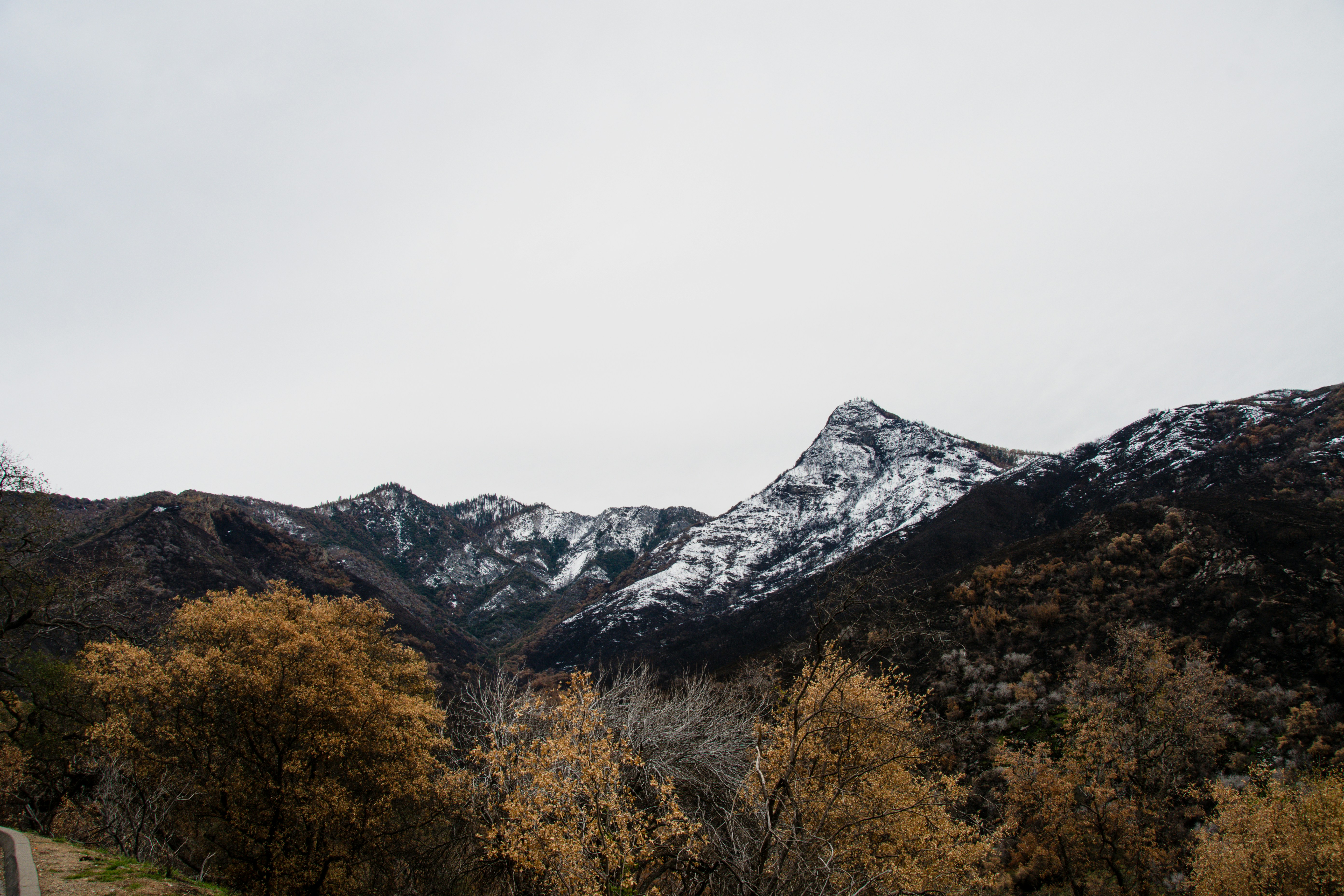 Photo by jackcharles