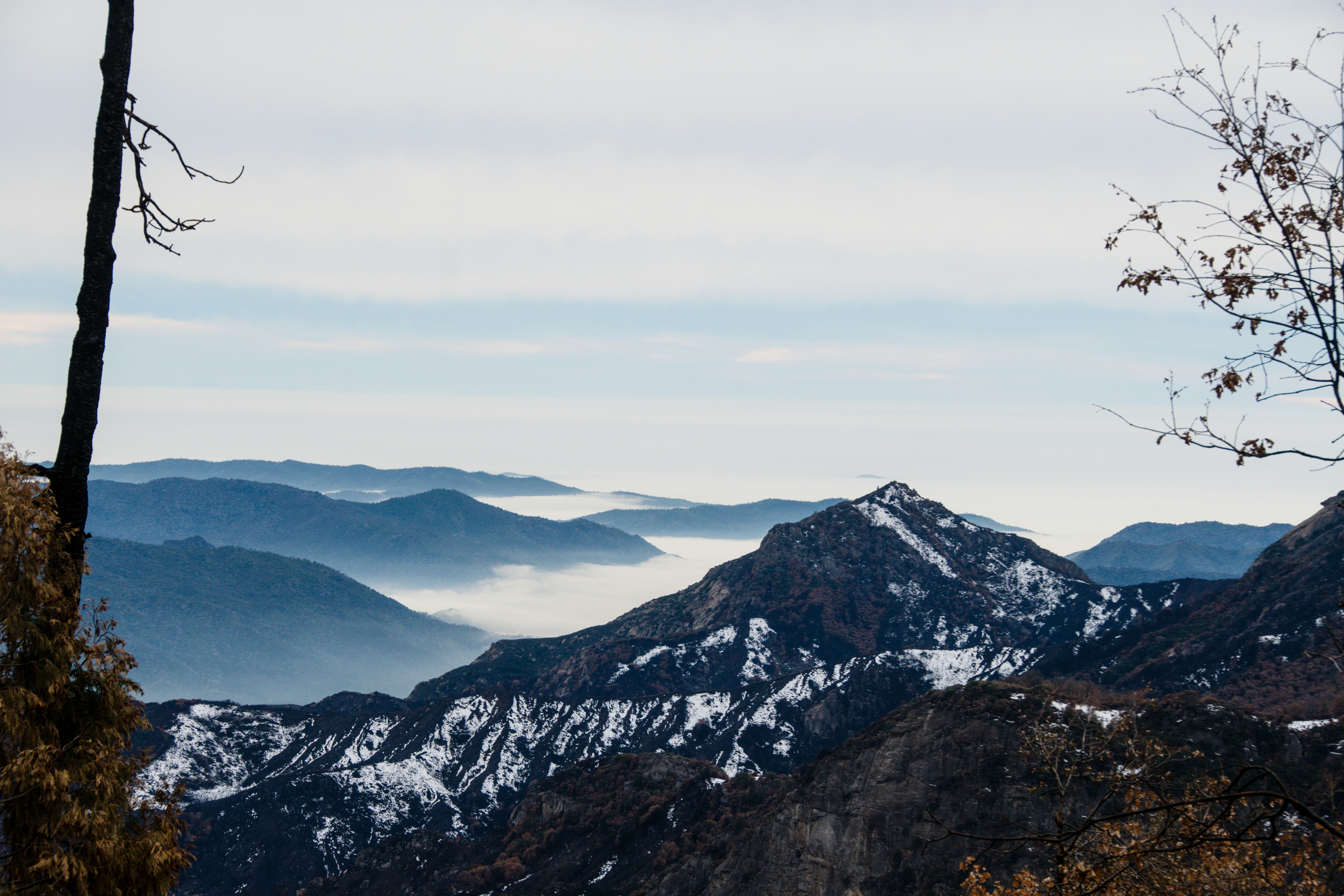 Photo by jackcharles